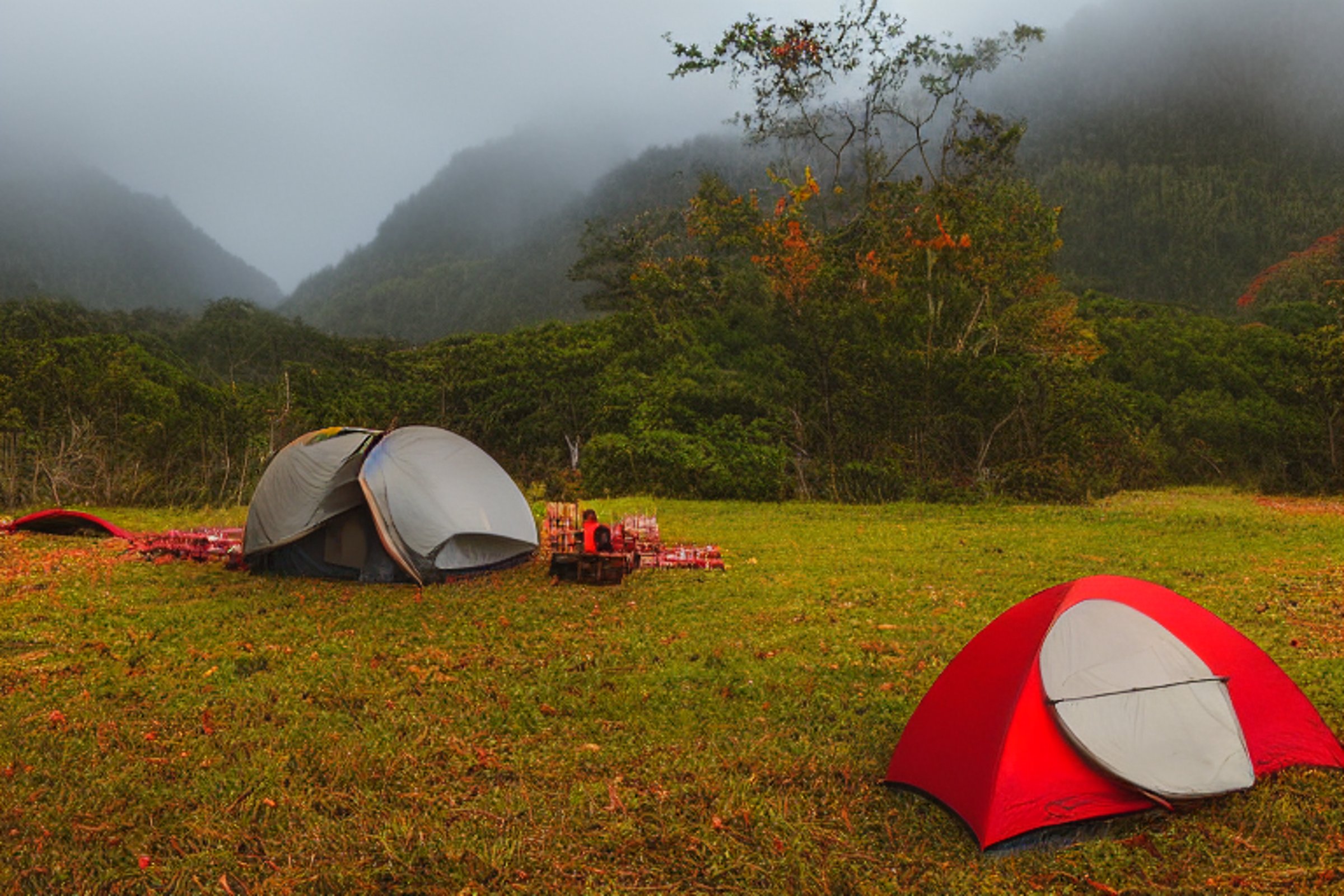 A bright red tent sits beside a warm campfire on a dirt patch at dusk. Tall grass, colorful fall trees, and a misty mountain surround the rainy campsite, while surfers add a fun touch in the distance.
