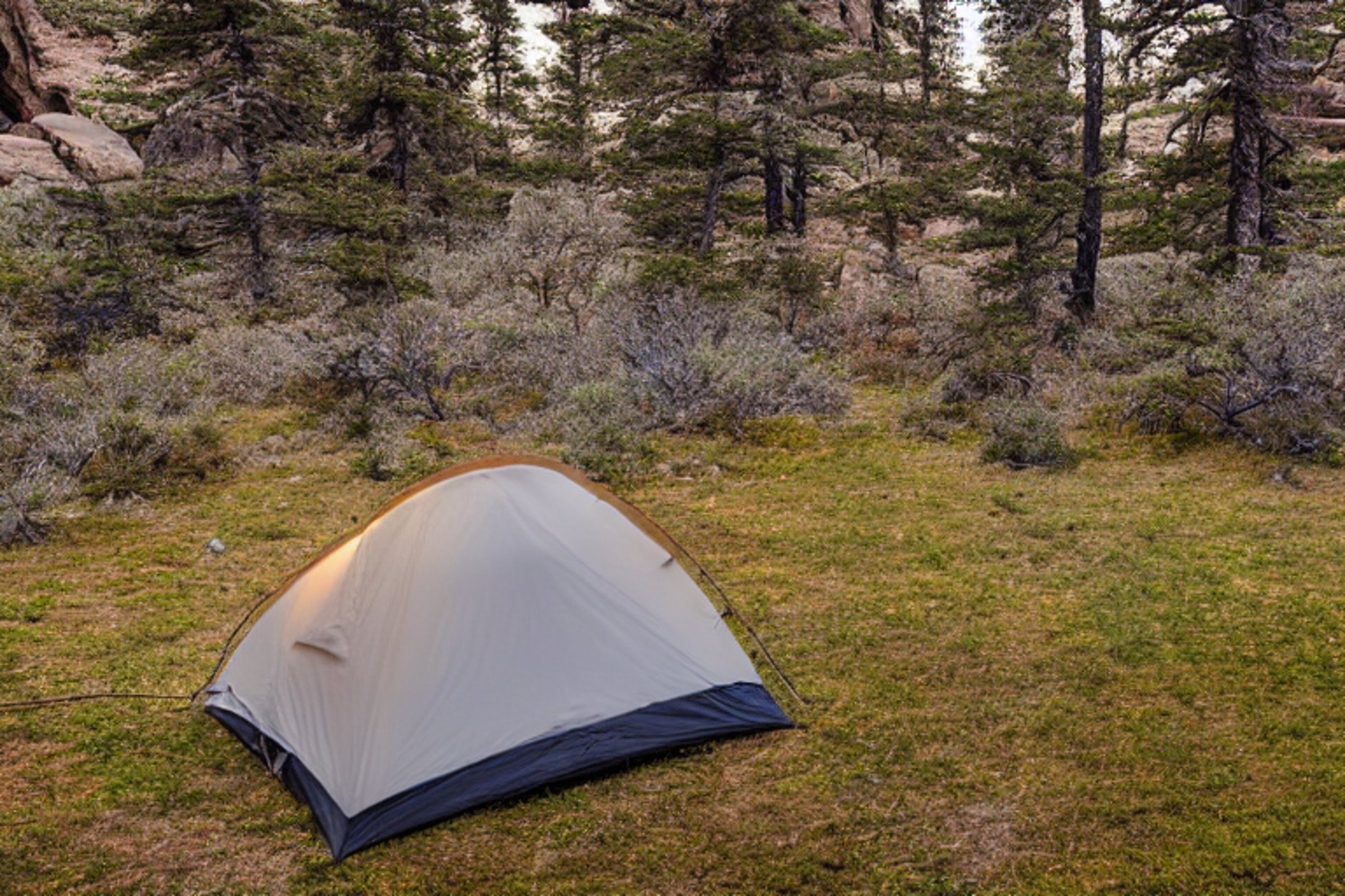 A cozy tent glows beside a crackling campfire in snowy Big Bend National Park. Overgrown grass surrounds the dirt campsite, while a wooden guitar rests nearby. Hikers gather under the quiet night sky.