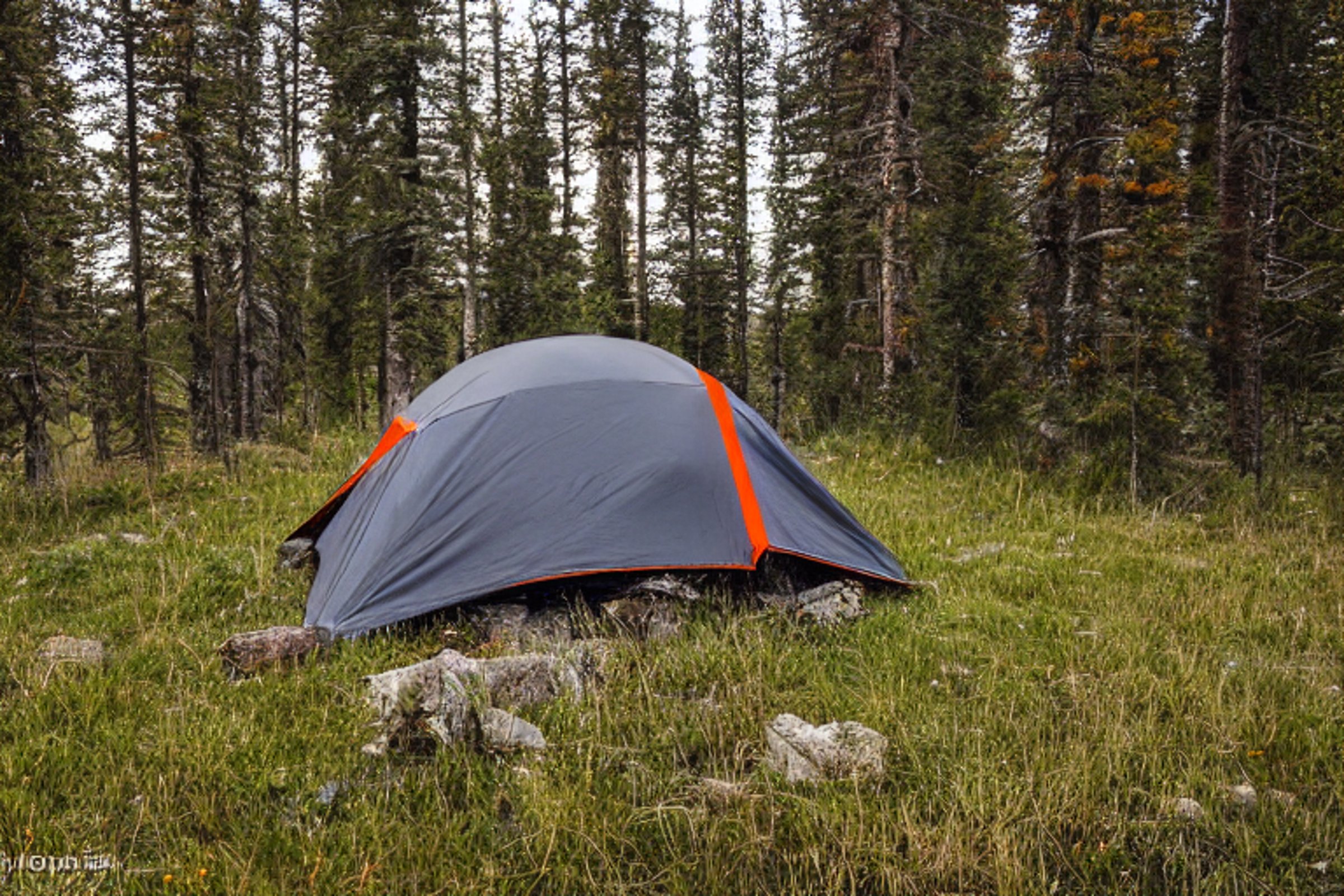 A gray and orange tent rests beside a small campfire on a snowy Colorado campsite. Tall, overgrown grass and berry bushes surround the dirt clearing, while the tent glows warmly inside.