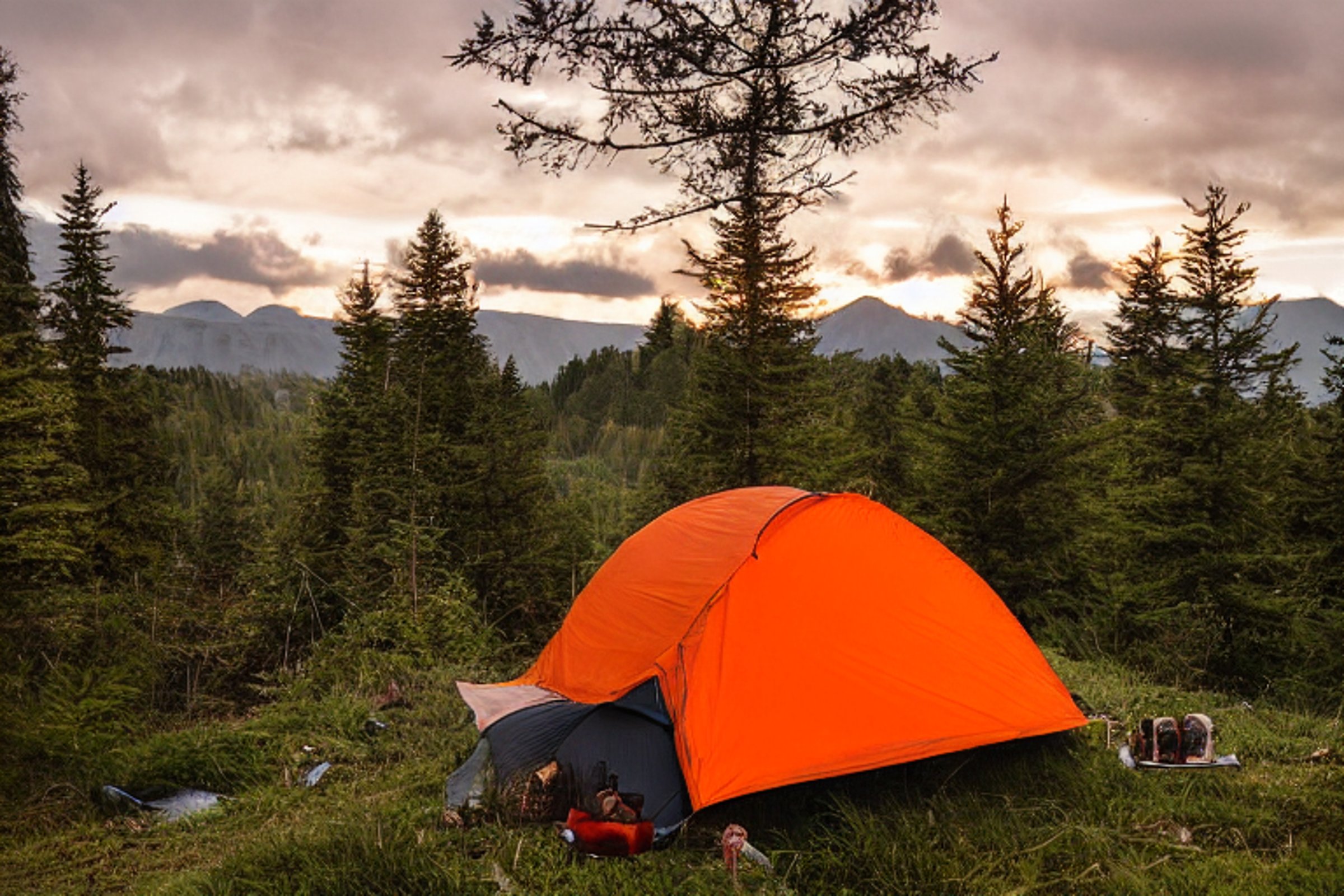 A gray and orange tent rests on a mountain campsite surrounded by small trees and ferns. A warm campfire glows beside a wooden guitar and picnic table as storm clouds gather in the golden evening light.