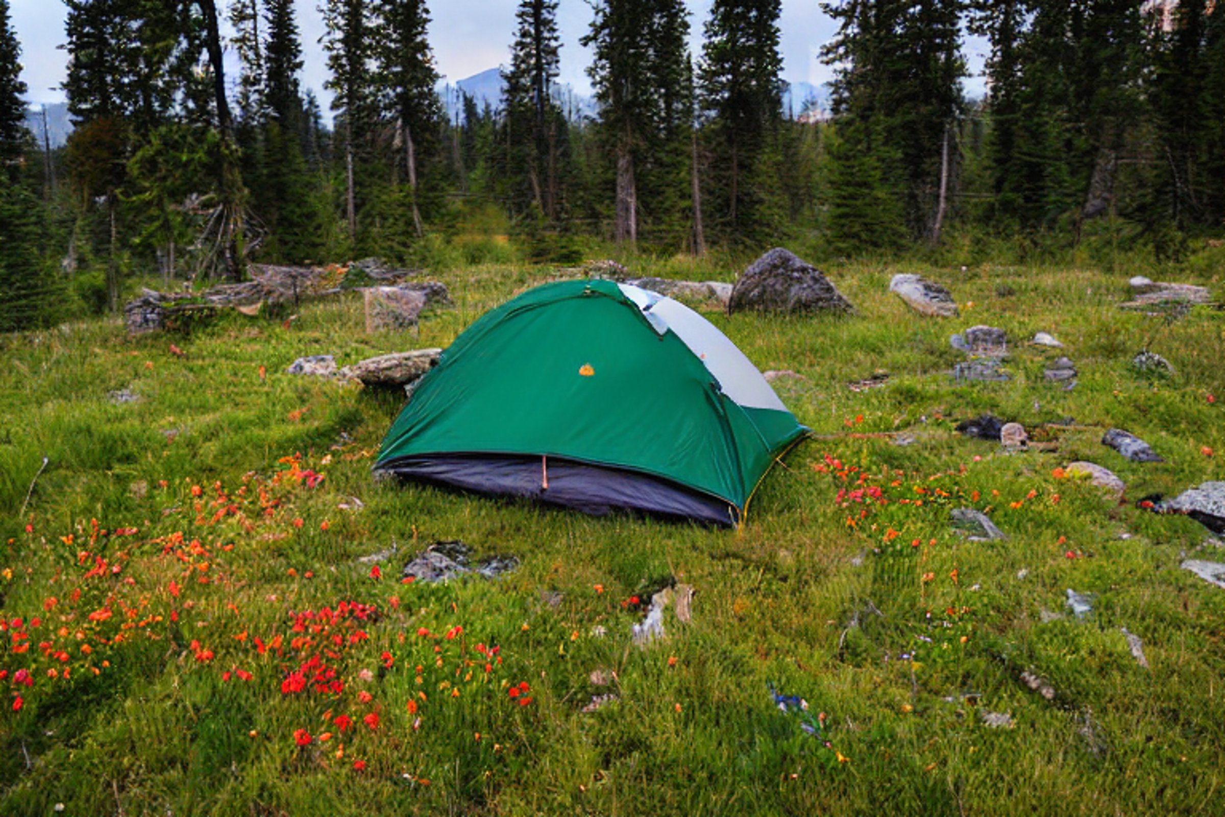 A forest green tent sits in a grassy Montana campsite beside a warm campfire. Wildflowers, stones, and large rock slabs surround the muddy clearing as rain falls beneath the glowing sunset.