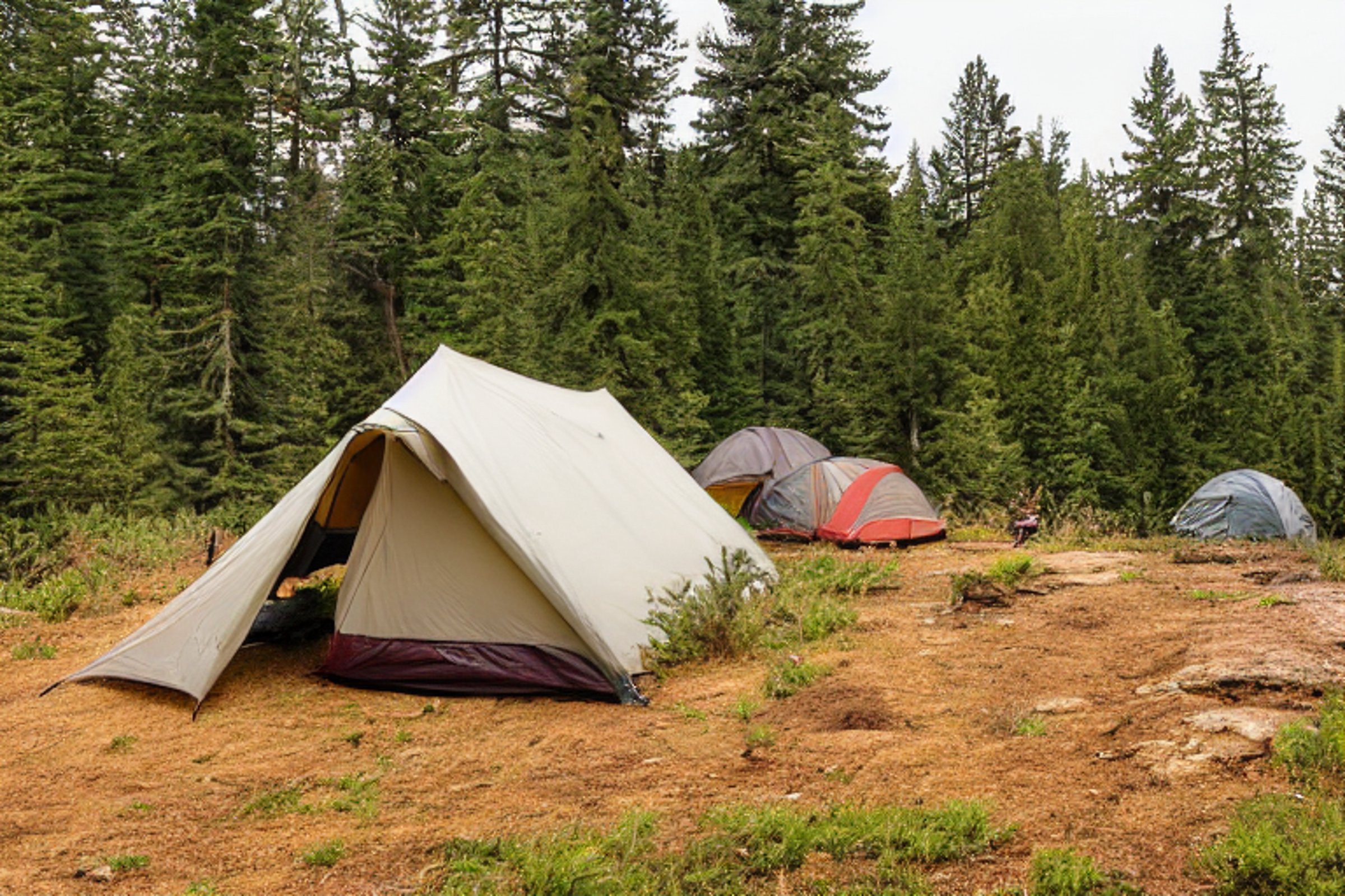 A cozy tent rests on a paved campsite surrounded by trees and rocky ground. Under a clear blue sky, a large rock and a few surfers add a fun touch to the bright outdoor scene.