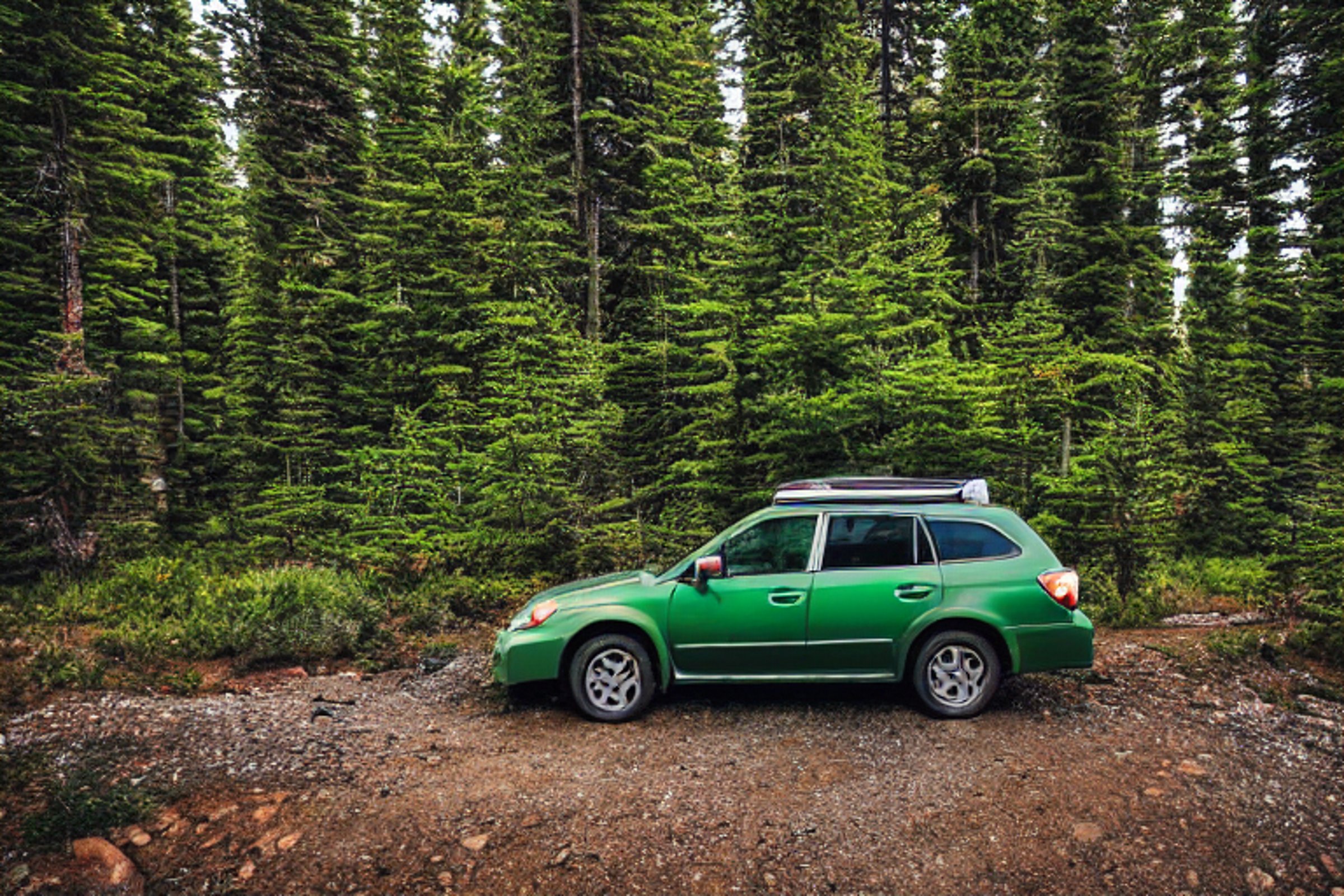 A green Subaru rests on a quiet dirt campsite beneath the starry night sky. Its rooftop tent glows warmly, while wet leaves, berry bushes, and tall forest trees create a peaceful wilderness setting. A distant camper’s flashlight shines through the rain.