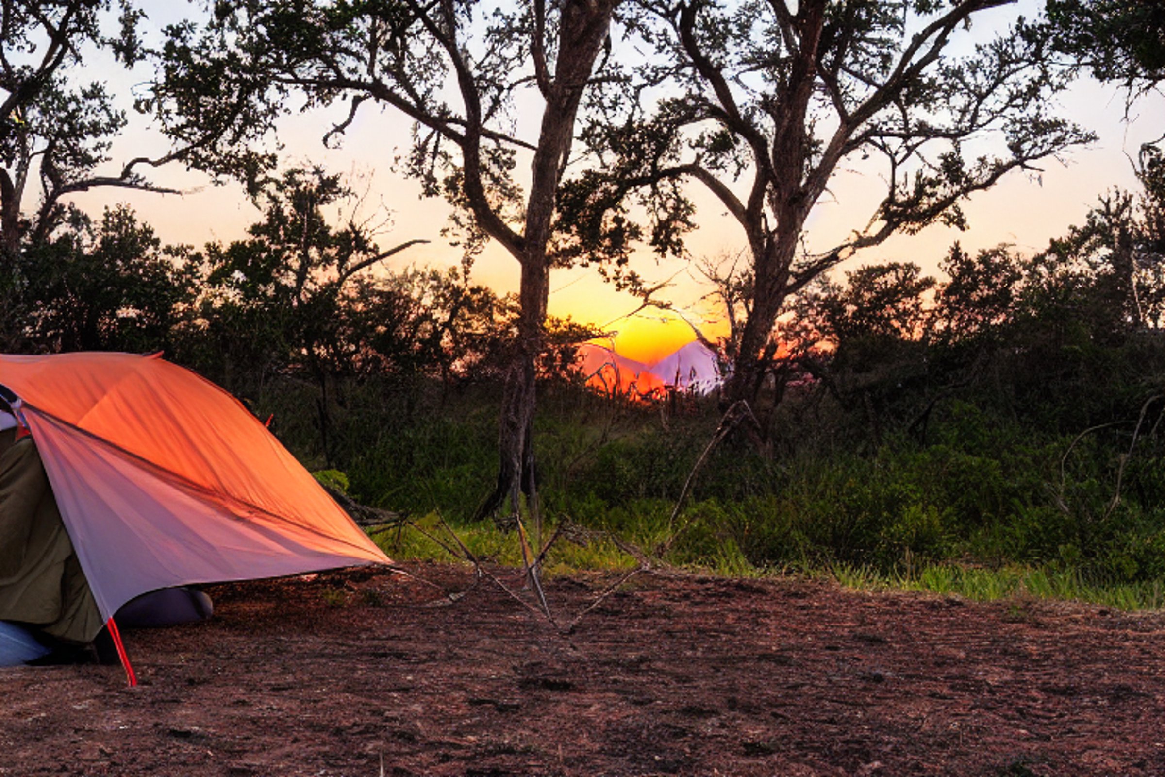 A cozy tent sits beside a crackling campfire on a sunny dirt clearing. Small trees surround the campsite, while distant mountains glow in the warm sunset light.