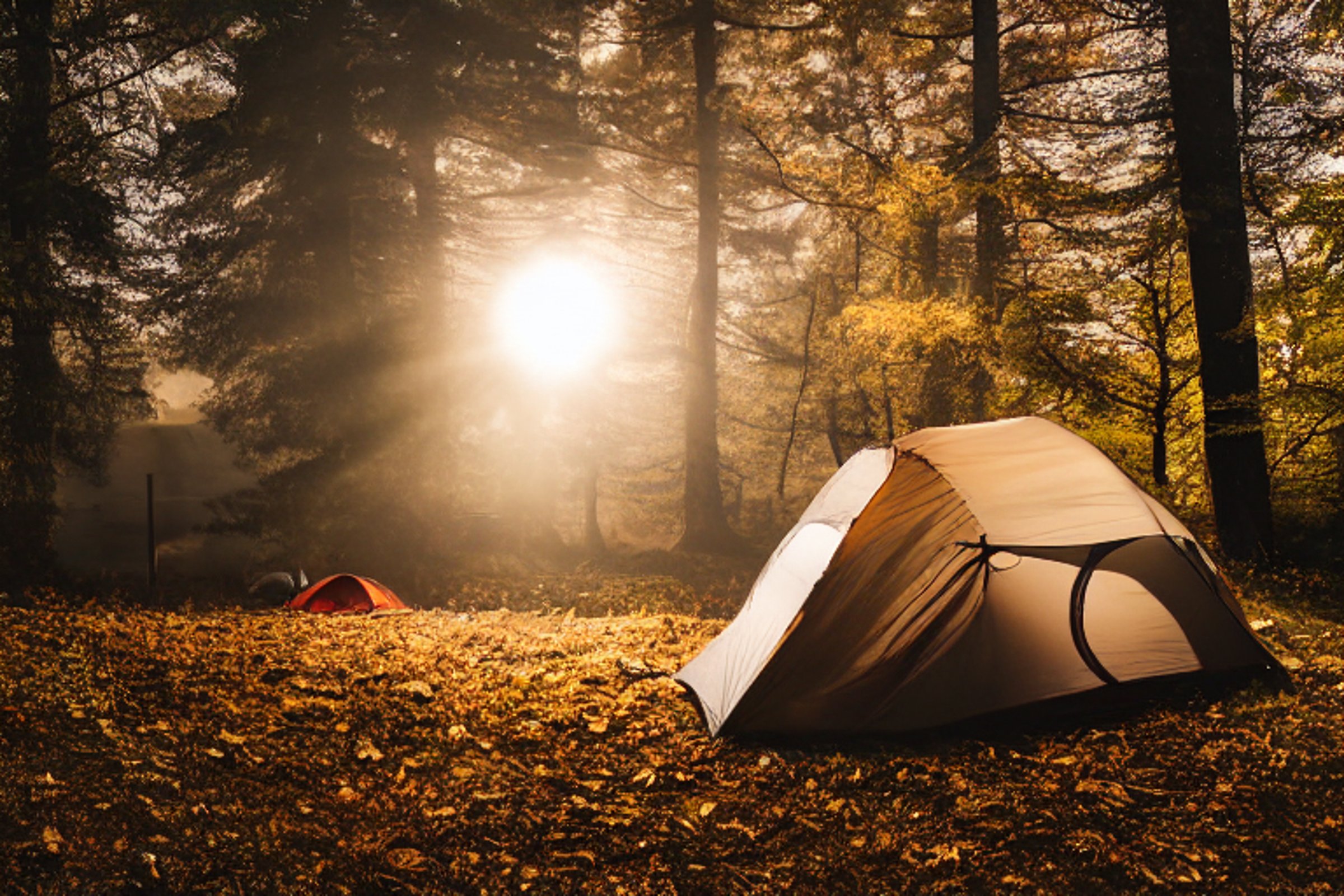 A black tent rests beside a quiet lake, surrounded by colorful fall trees and soft fog. A small campfire warms the stony campsite, while a flashlight glows inside the tent. A large rock and a patch of dirt add to the peaceful wilderness scene.