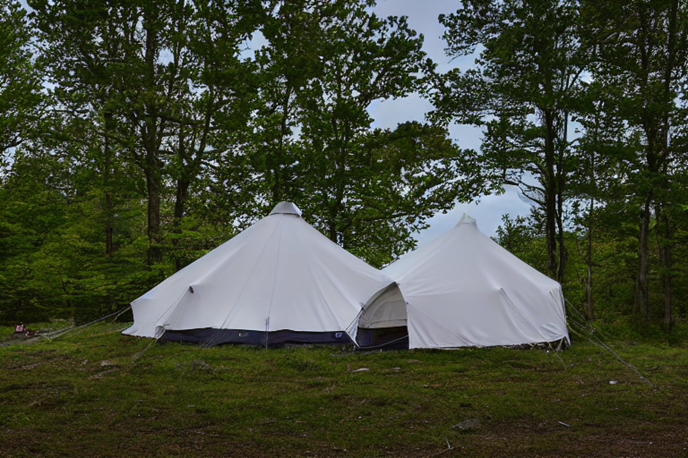 A bright white tent rests on a quiet paved campsite among mossy trees and rolling hills. A campfire ring with logs sits in the center, surrounded by patches of pale stone gravel. Clear skies and warm daylight make the Upstate New York setting feel peaceful and inviting.