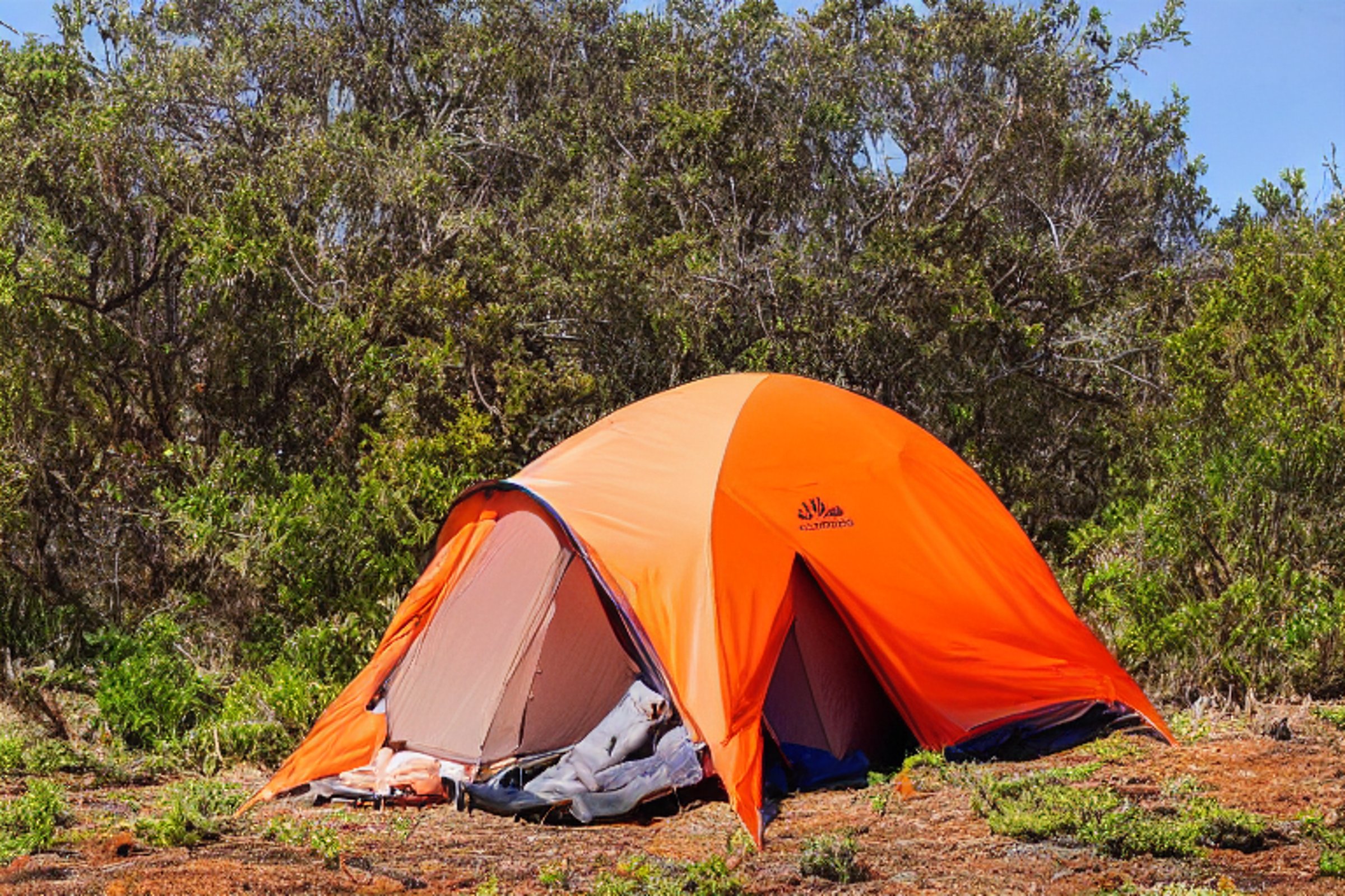 A bright orange tent rests on a sunny paved campsite near San Diego Beach. Rolling hills, berry bushes, and a dirt patch add a natural touch. Camping gear and drying clothes make the spot feel ready for a fun outdoor day.
