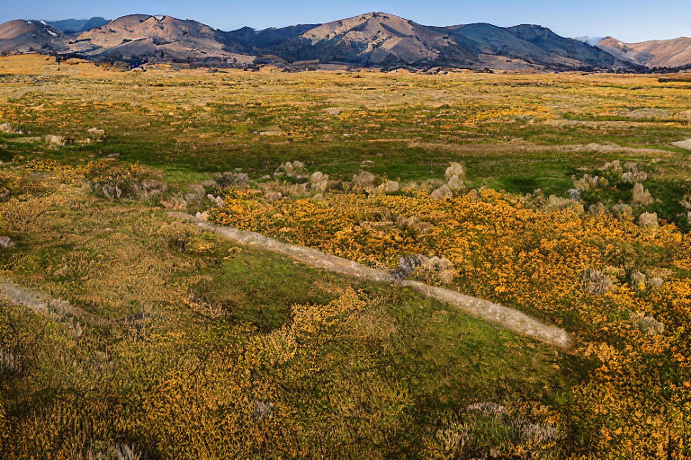A cozy brown tent sits in a dirt clearing as the sun rises over the snowy Idaho plains. Mossy trees, small flowers, and a gentle stream surround the peaceful campsite.