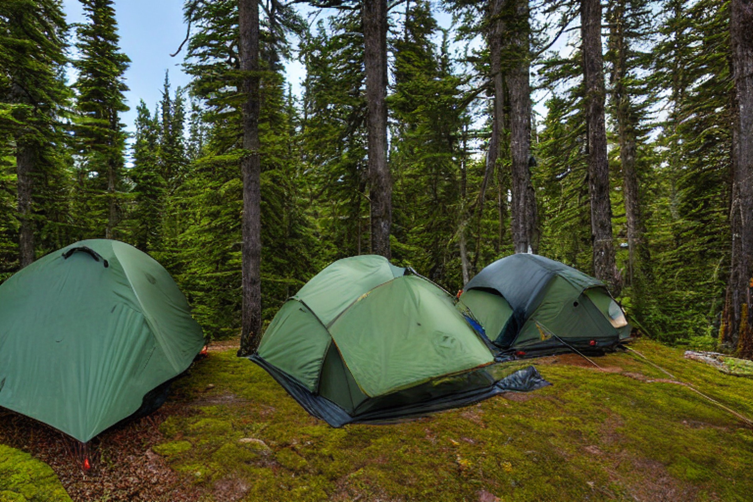 A green tent rests beside a sunny paved campsite in a mossy forest. A clear stream winds through the dirt clearing, with a parking spot nearby. A pale moon hangs in the bright blue sky.