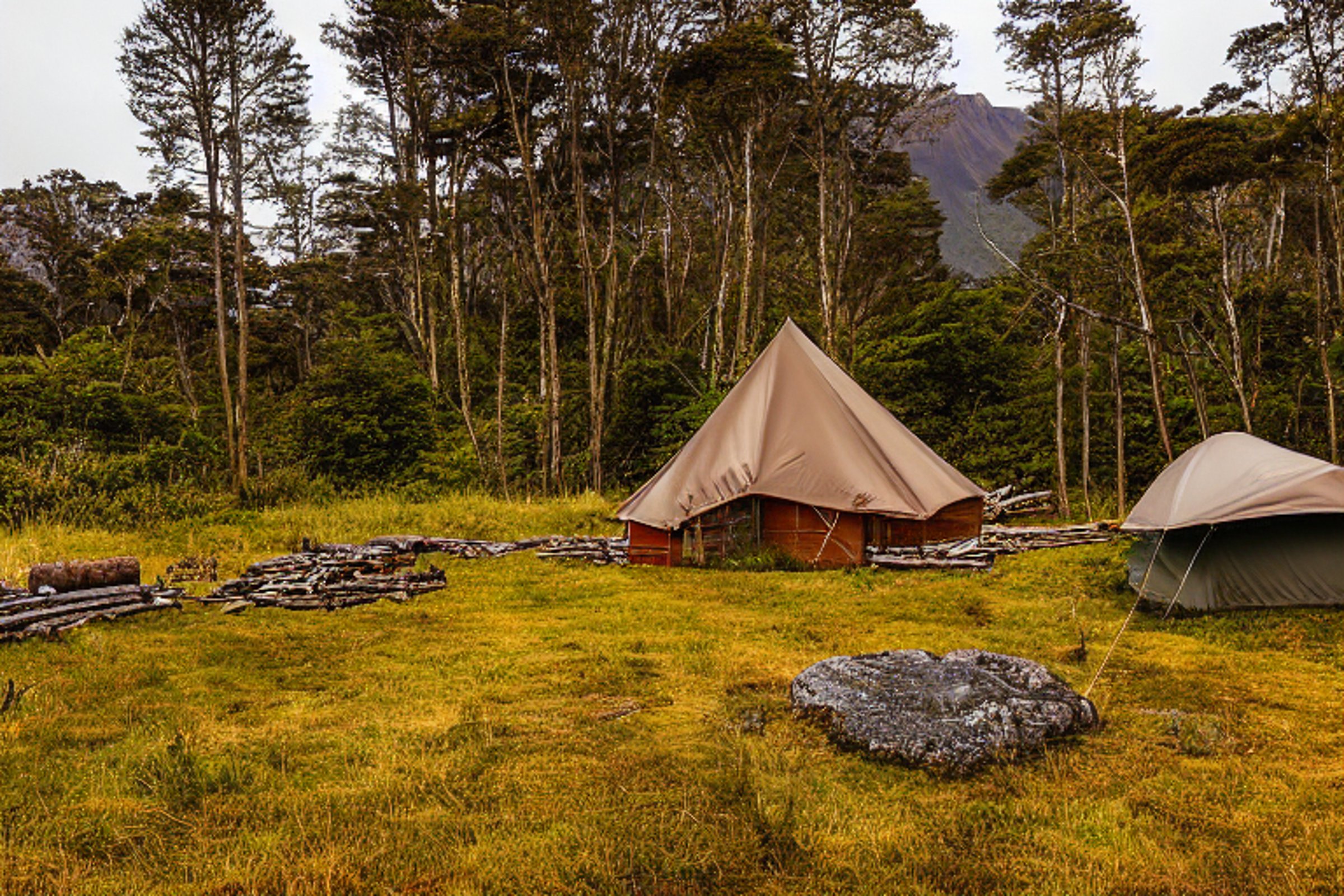 A cozy brown tent rests on a dirt campsite in Milford Sound, surrounded by wild bushes and berry plants. A winding path, picnic table, and campfire logs create a welcoming spot beneath the stormy golden sky.