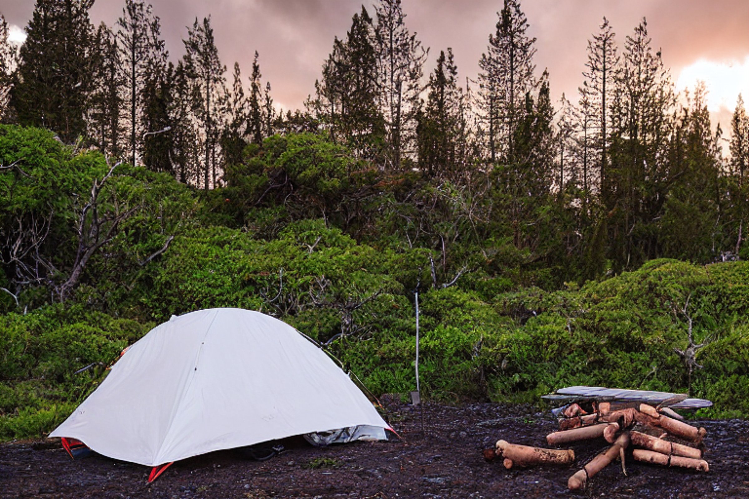A white tent rests on a paved campsite beneath mossy trees in Hawaii. A campfire glows beside a picnic table, while surfers gather nearby under a stormy golden sky.