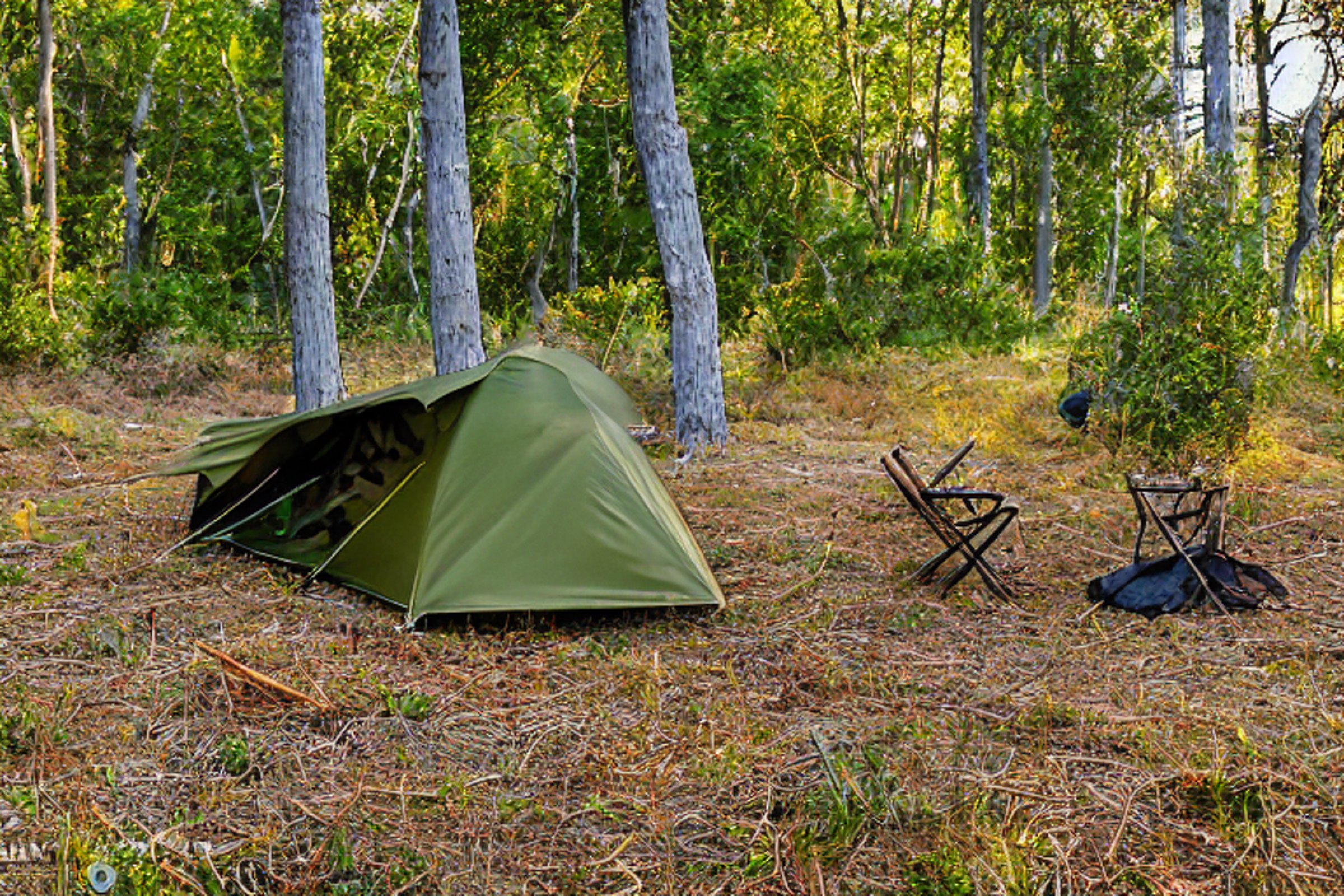A green camo tent rests on a sunny dirt campsite near San Diego Beach. Ferns, fall-colored trees, camping chairs, and a picnic table create a cozy outdoor spot. Golden-hour light gives the scene a warm, peaceful glow.
