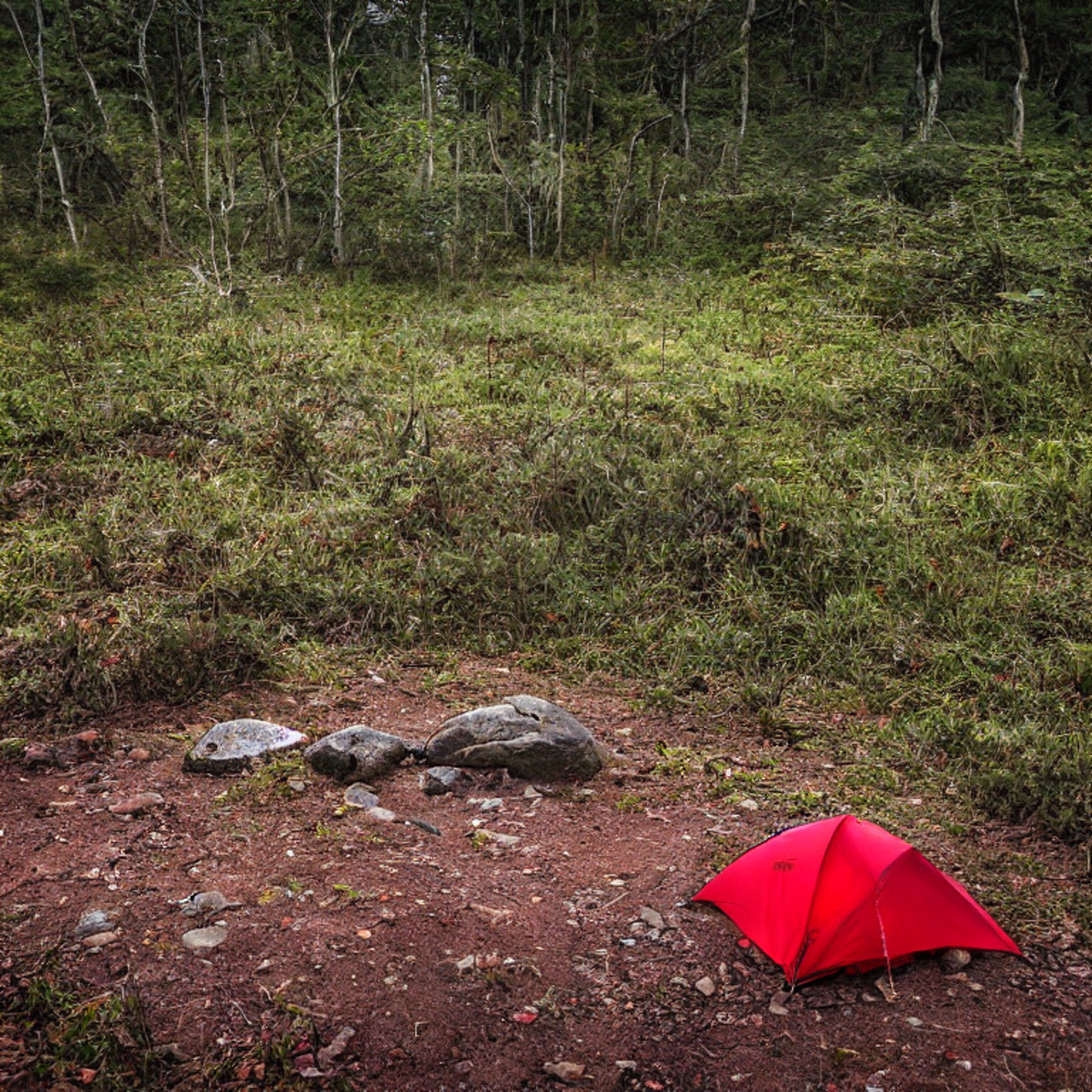 A bright red tent rests on a quiet dirt clearing beneath a sky full of stars. Large stone slabs, fallen leaves, and a box of camping gear surround the campsite, while soft fog adds a calm, dreamy feel.