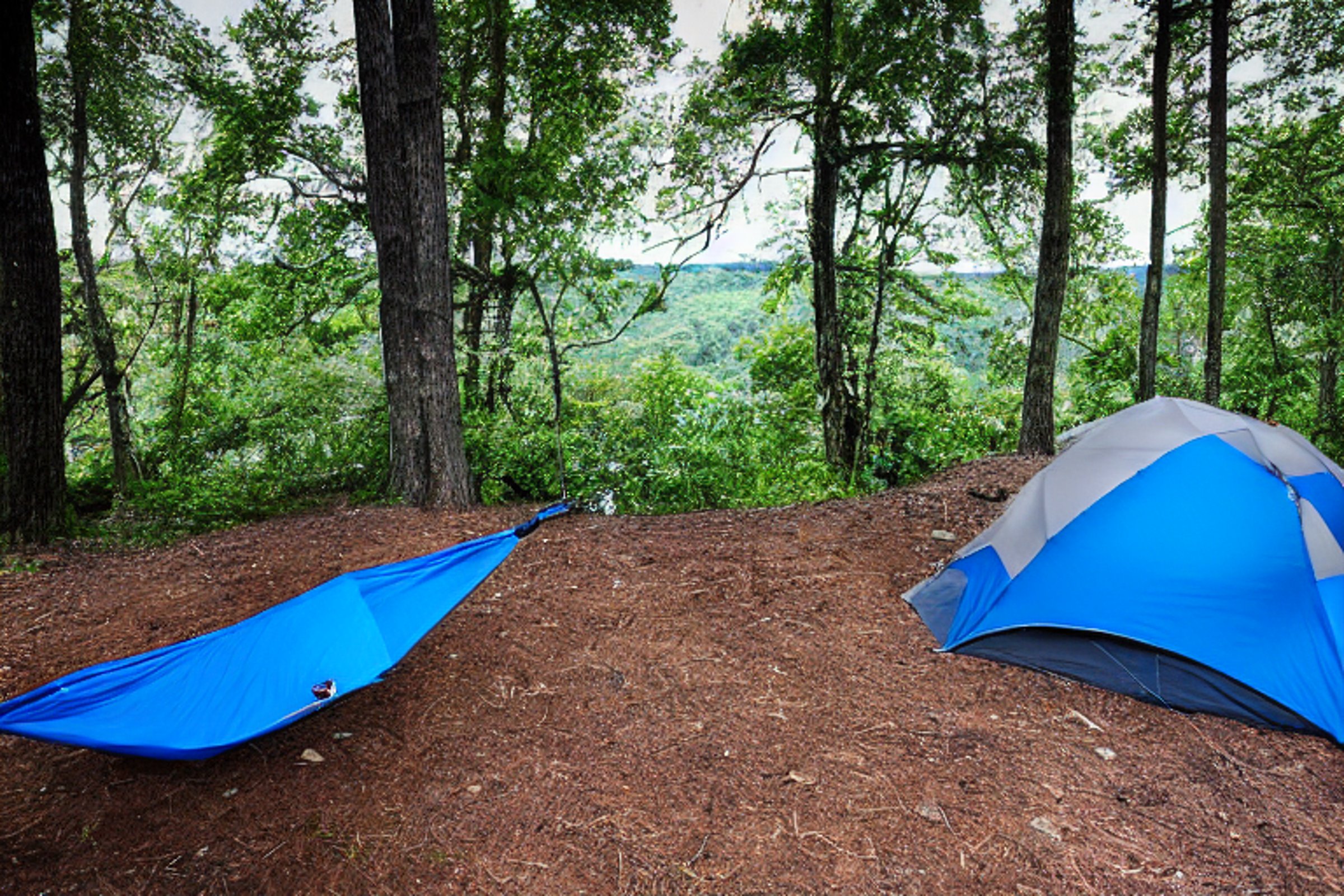 A blue-gray tent rests beside a warm campfire on a rainy morning. A clear stream winds through the campsite, surrounded by bushes, rolling hills, and a hammock tied between trees.