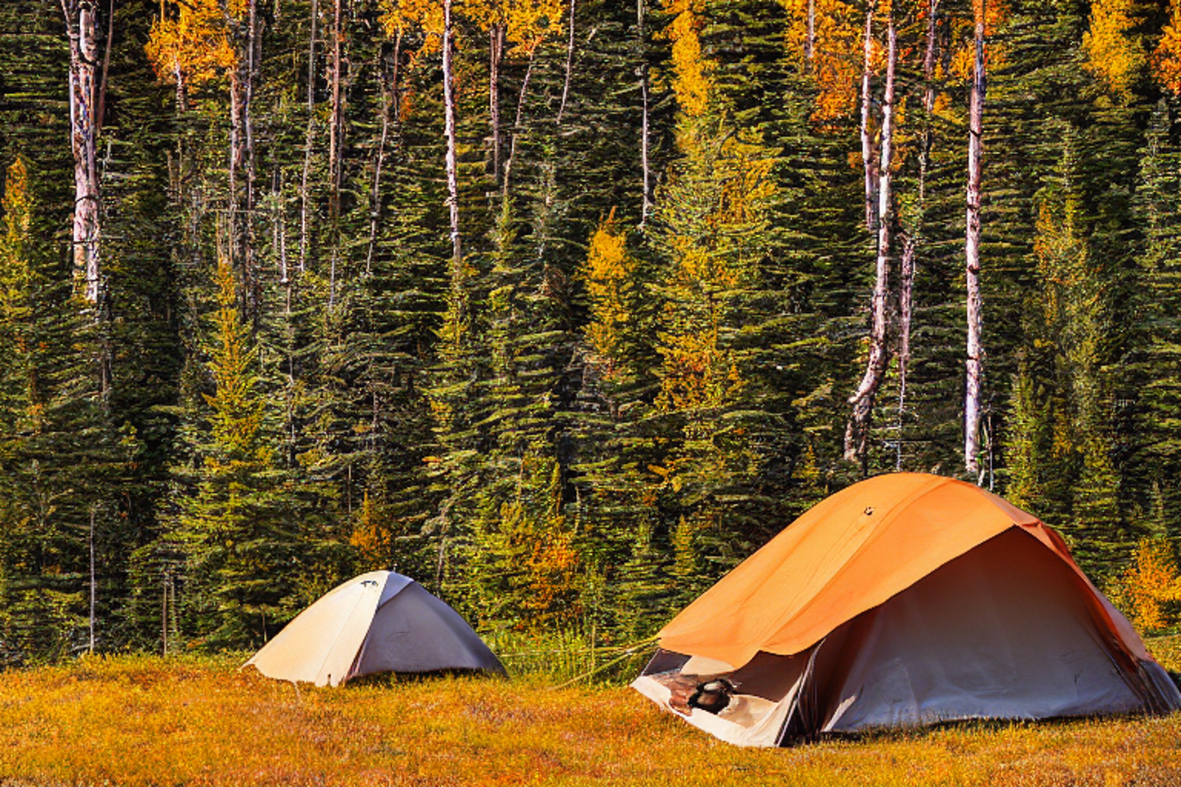 A cozy tent rests on a paved campsite in Glacier National Park. Small trees, rocky ground, and bright fall leaves surround the dirt clearing. A deer stands in the distance beneath the clear, golden sunset sky.