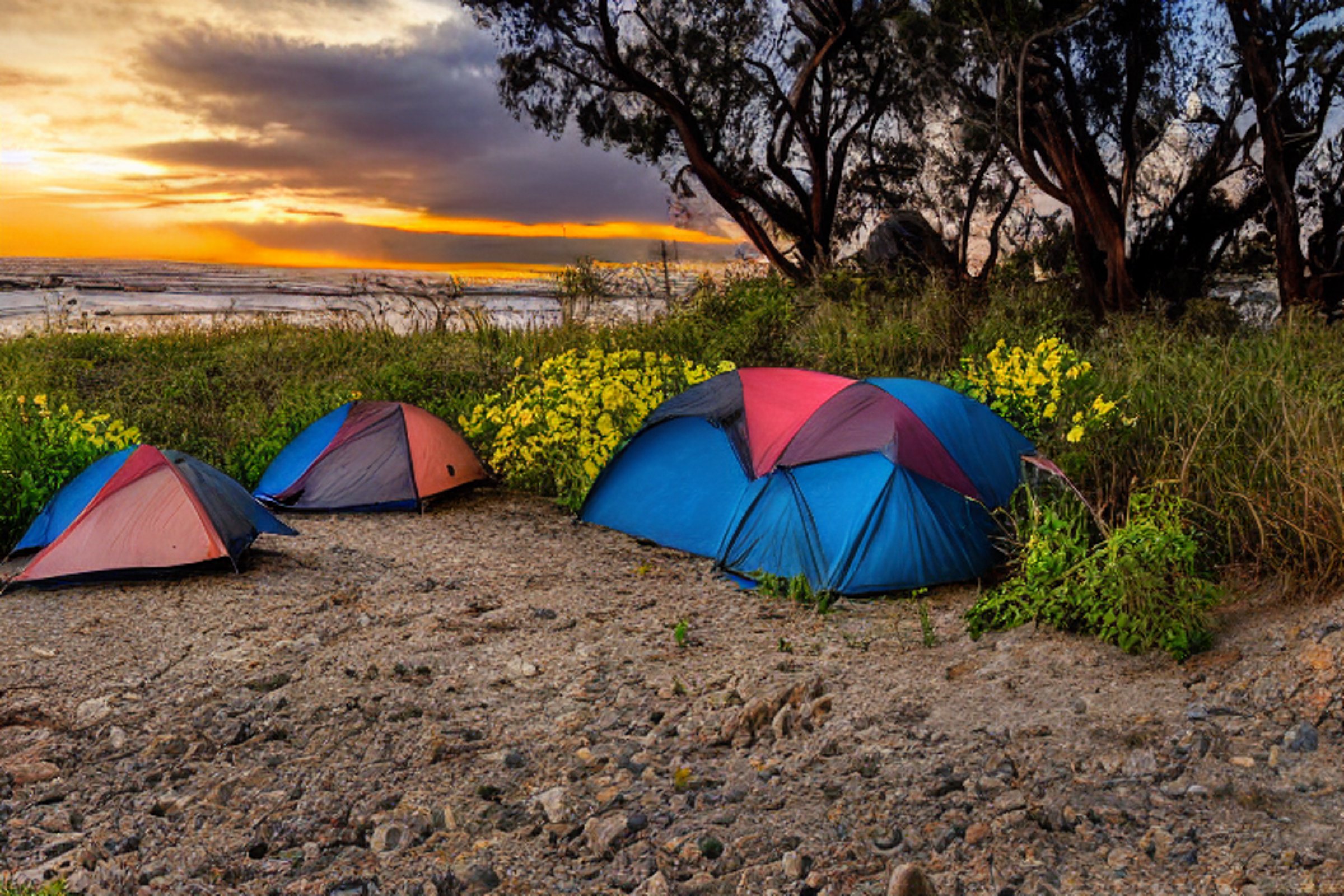 A colorful tent rests on a paved campsite near San Diego Beach as the sun sets. A dirt path, wildflowers, and stone gravel surround the site, while surfers enjoy the clear water nearby.