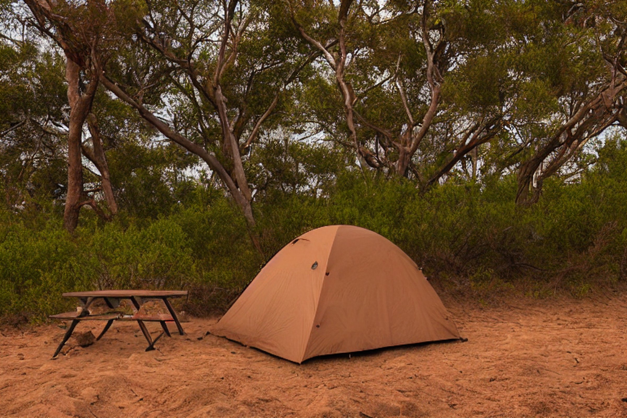 A cozy brown tent rests on a dirt campsite near San Diego Beach. A picnic table, camping gear, and dry leaves sit beside a winding hiking path. Soft sunset light shines through the cloudy sky, creating a calm outdoor mood.