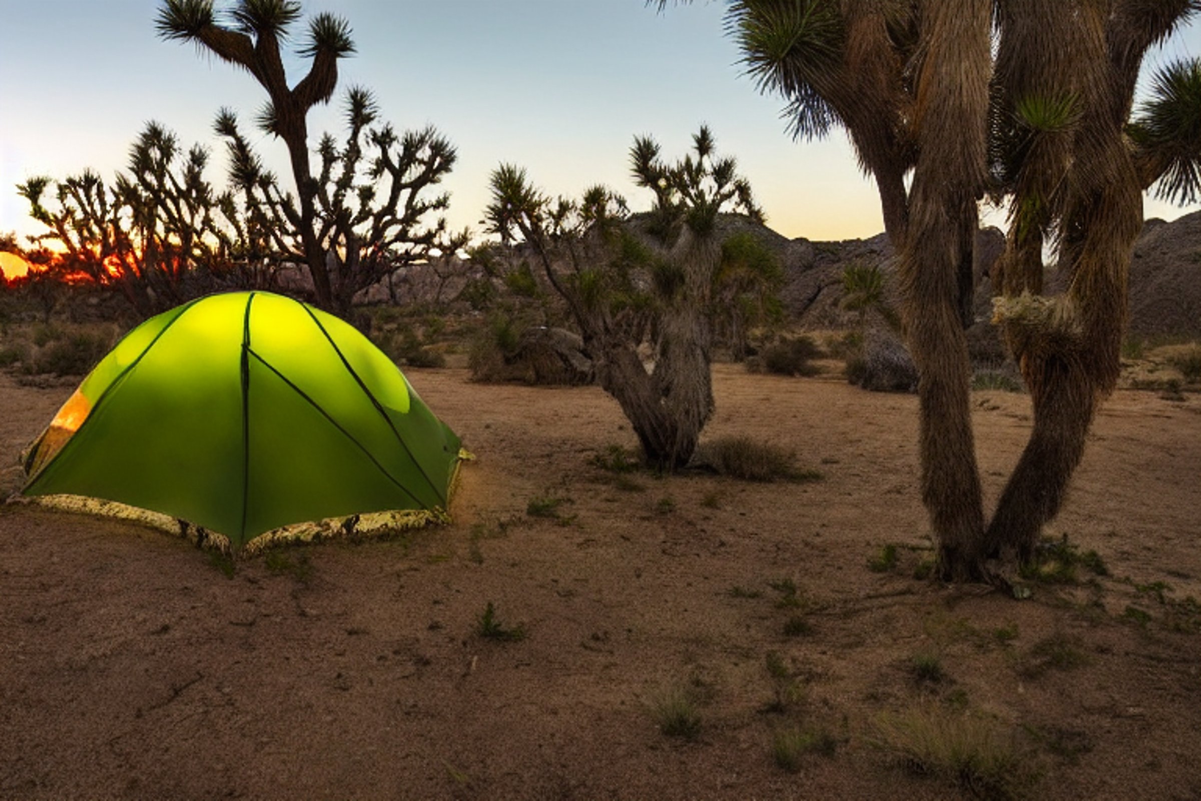 A green camo tent rests on a dirt patch at a paved campsite in Joshua Tree National Park. Tall trees, small plants, and ferns surround the camp as the sun sets. A distant camper’s flashlight adds a warm glow beneath the clear sky.