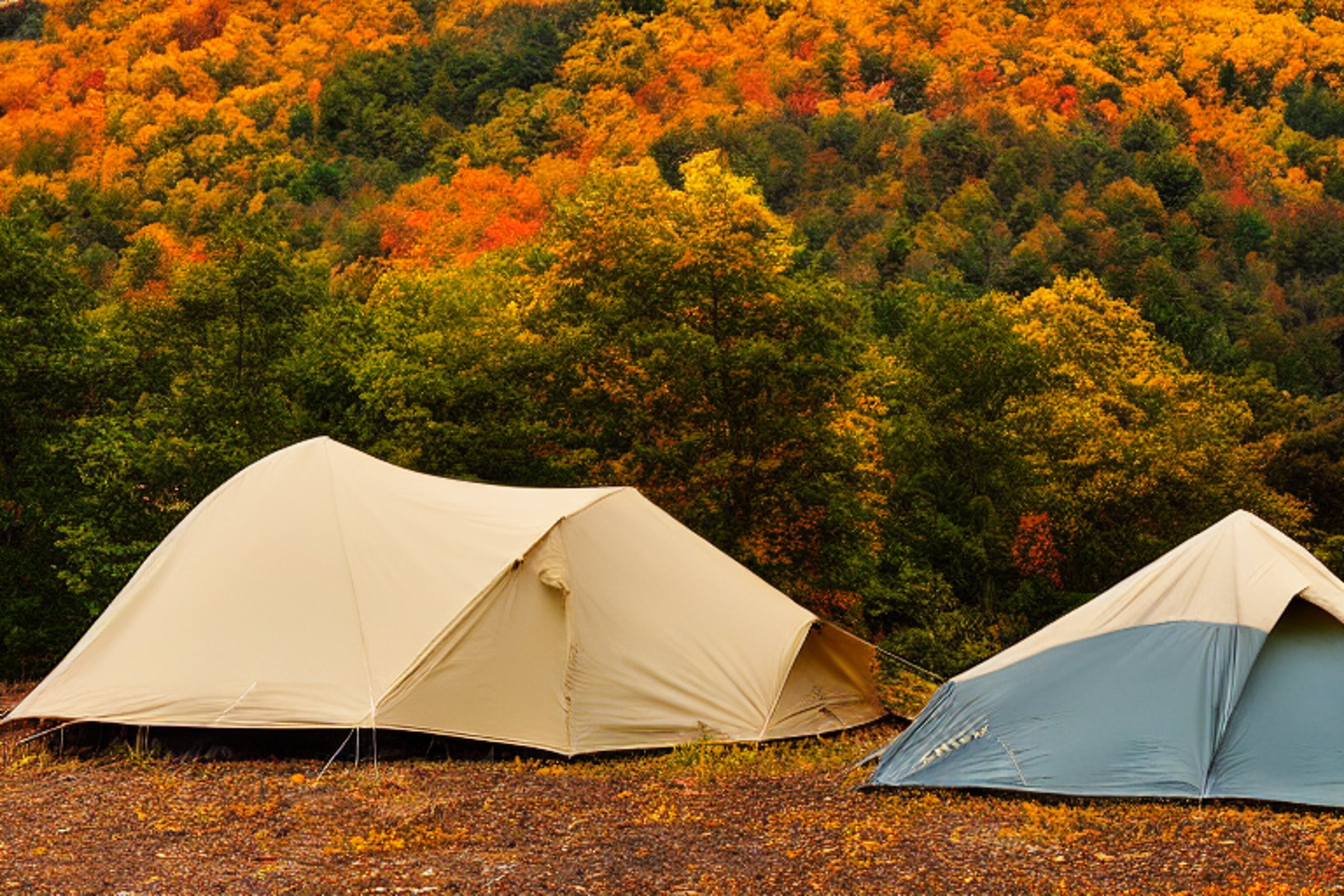 A tan tent rests on a paved campsite beside a muddy patch in the rain. Fall-colored trees, rolling hills, and misty mountains create a peaceful Smoky Mountain setting under the night sky.