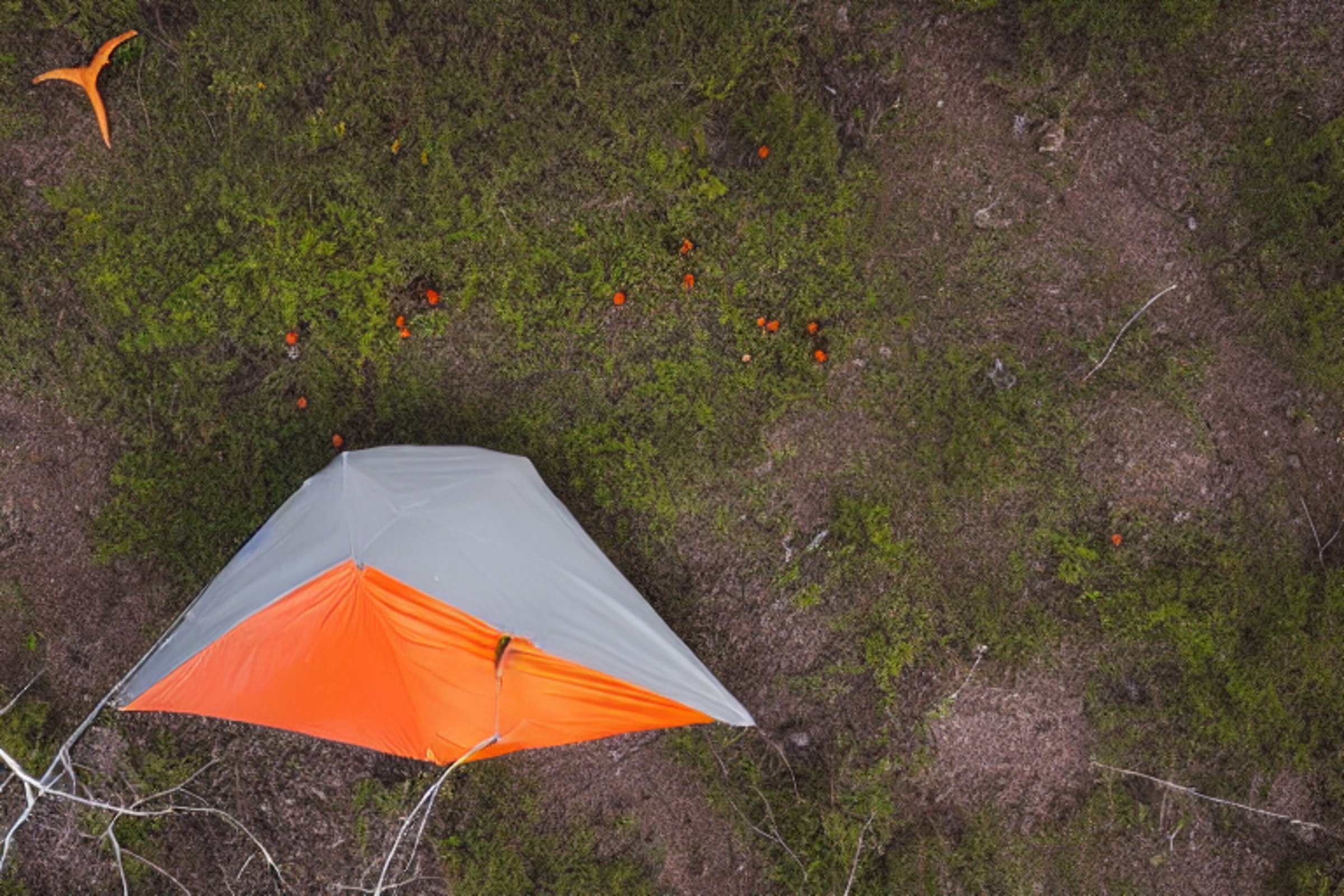 A gray and orange tent rests in a snowy campsite beneath a sky full of stars. A warm campfire glows beside the logs, while a deer stands quietly in the distance near berry bushes and small trees.