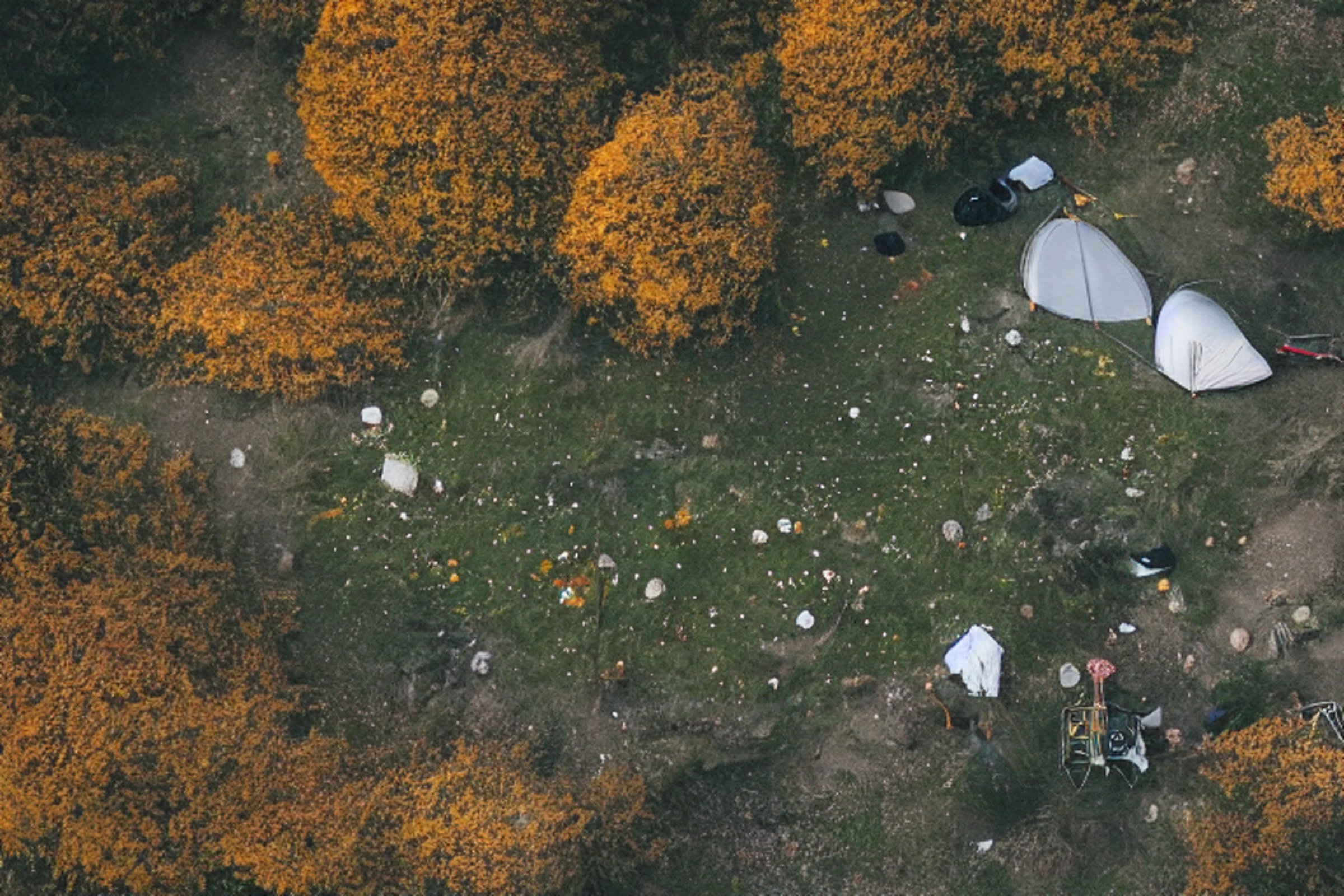 A black tent rests on a quiet dirt clearing beneath a starry, stormy sky. A warm campfire glows beside camping chairs, with colorful fall trees and small wildflowers all around.