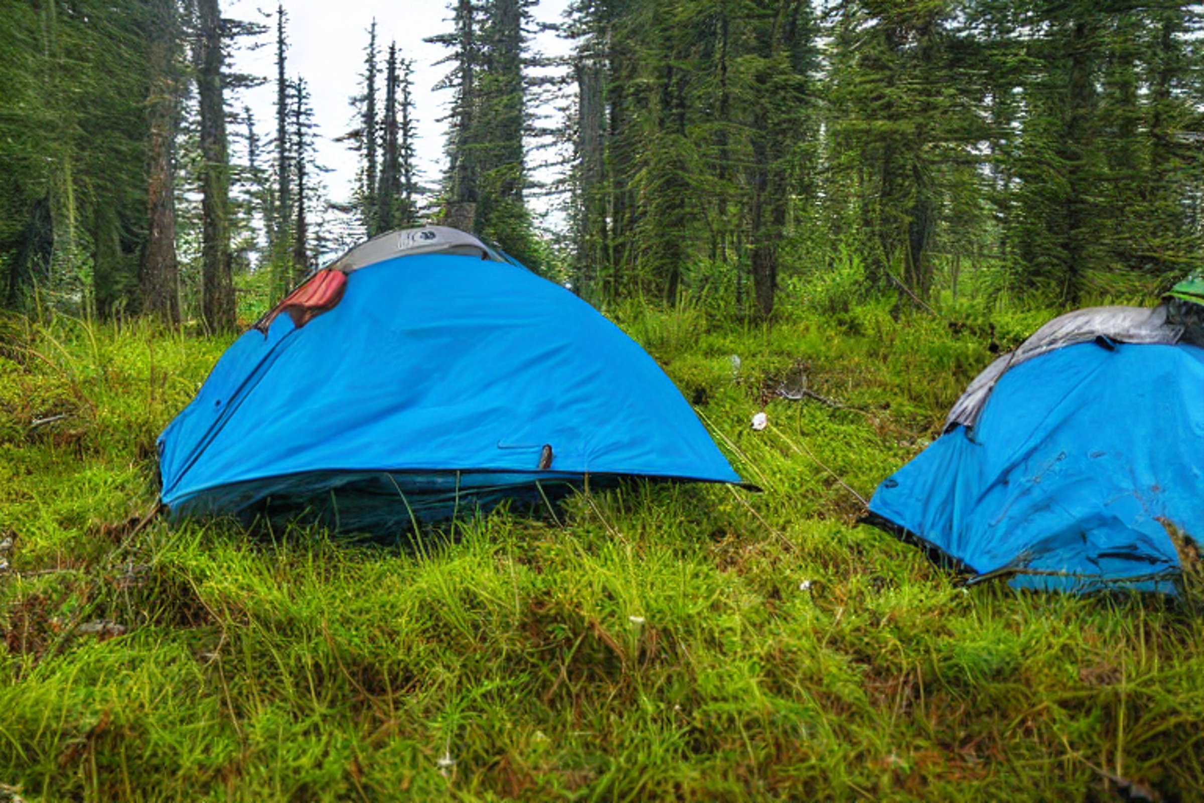 A cozy tent rests on a dirt campsite in the quiet Alaska wilderness. Mossy trees and tall grass surround the rocky ground, while a box of camping gear sits nearby. Above, a clear night sky stretches across the scene.