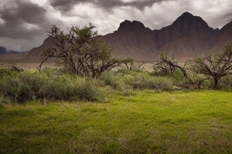 A brown tent rests on a paved campsite surrounded by tall, overgrown grass. Mossy trees frame the view, while rugged mountains rise in the distance beneath a cloudy sky. A small dirt patch adds a rustic touch to the peaceful setting.