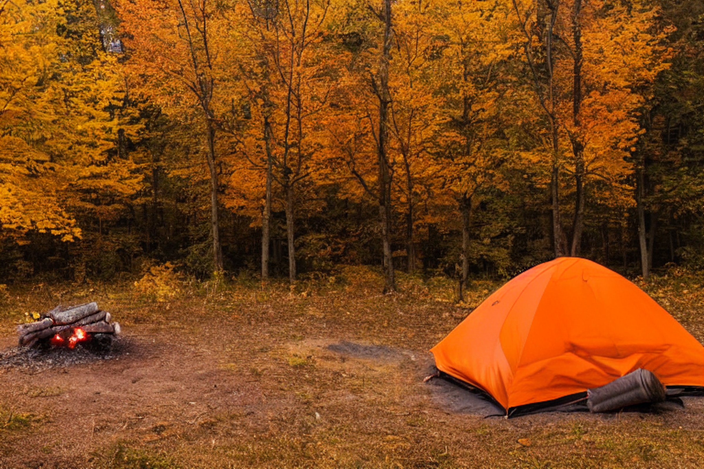 Two bright orange tents rest among fall-colored trees in misty upstate New York. A warm campfire glows nearby, ringed with stones, while backpacks and twigs lie on the forest floor. Silhouettes gather quietly in the cool dusk.