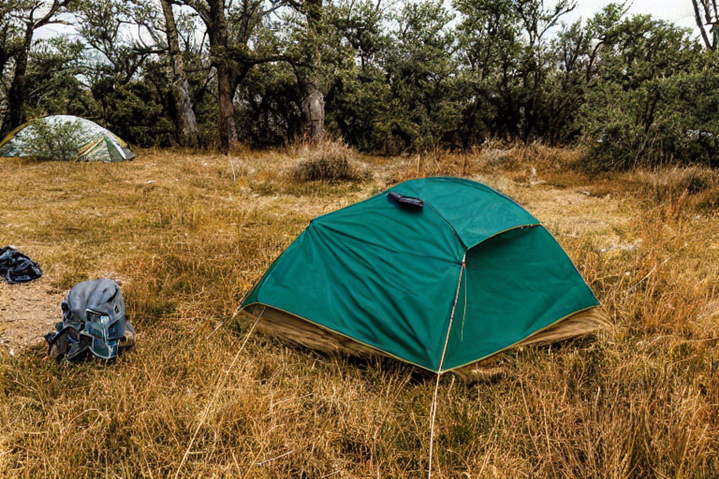 A tan tent rests on a quiet dirt clearing in Capitol Reef National Park. Tall grass and fallen leaves surround the campsite, with camping gear nearby. Above, stars shine through the stormy night sky.