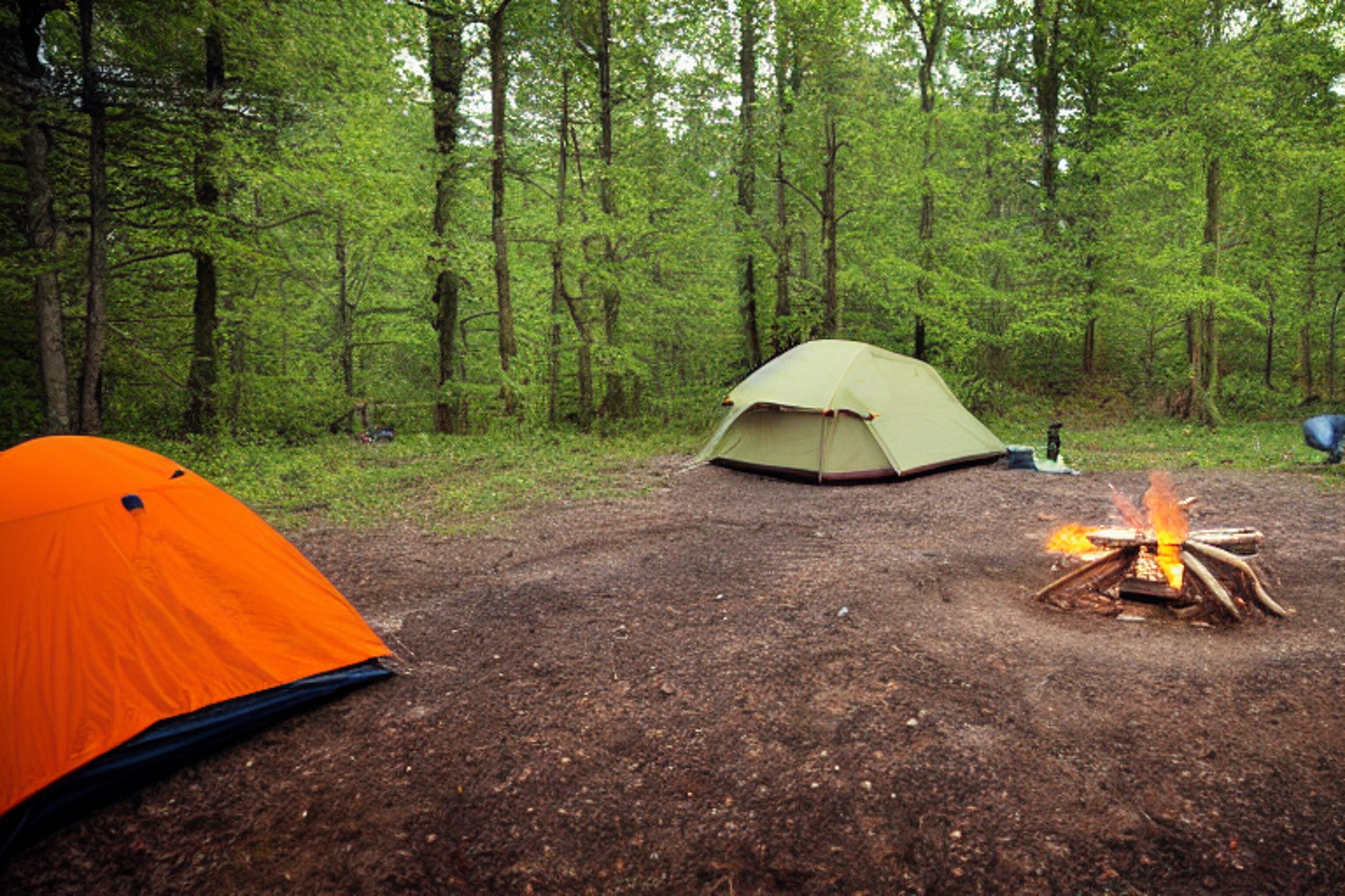 A green tent rests beside a paved campsite in a quiet forest. Stars shine through the cloudy night sky, while a campfire glows near a large log and camping gear. In the distance, a person’s flashlight adds a small spark of light.