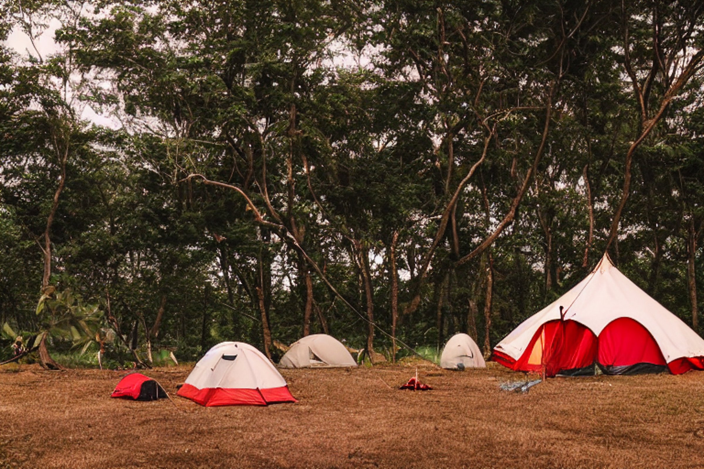 A red and white tent rests in a grassy Hawaiian campsite at dusk. A warm campfire glows on the dirt, with logs nearby and clothes hanging on a line. Leaves and open space give the scene a peaceful, cozy feel.