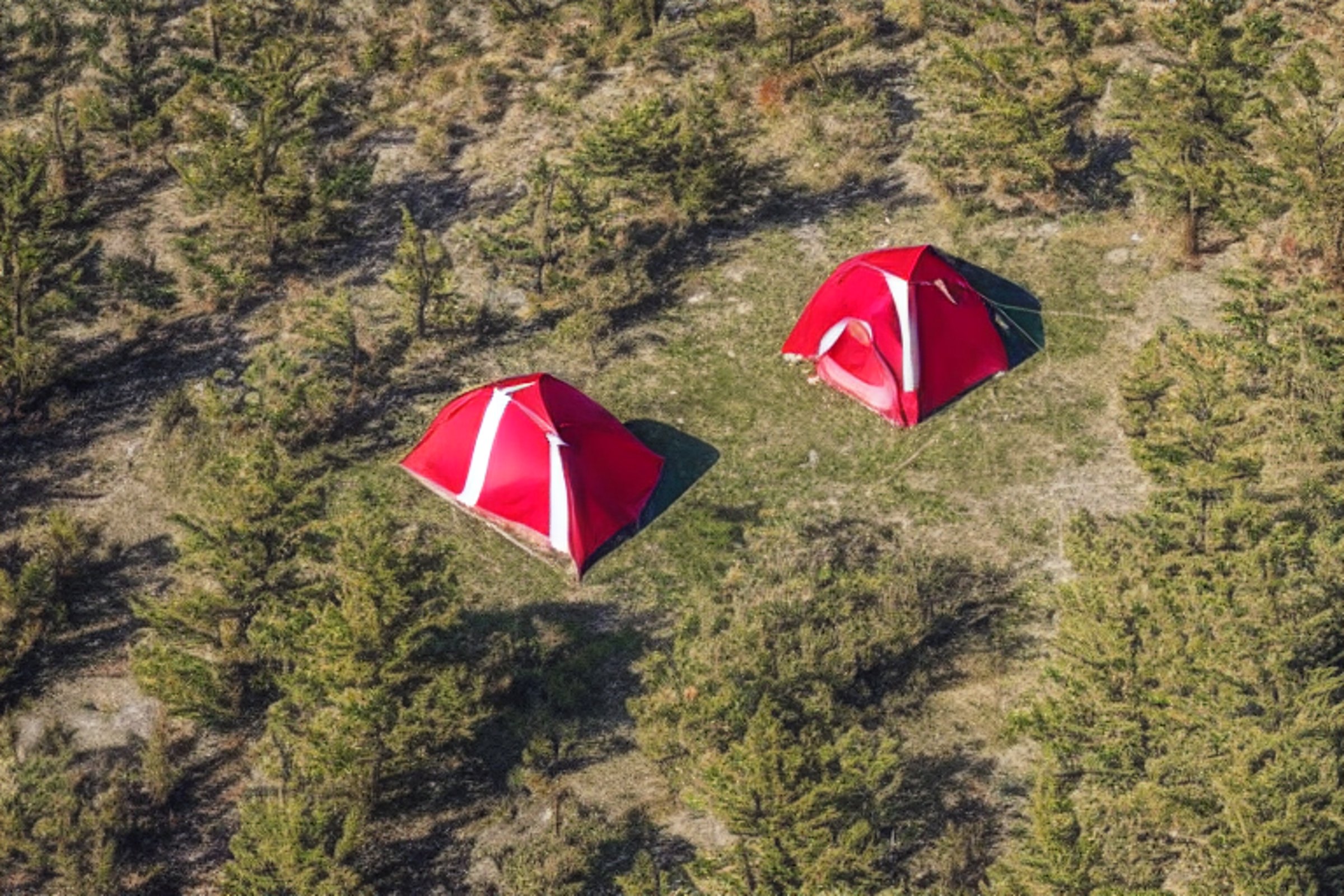 A red and white tent rests among tall trees on rocky, sandy ground. A warm campfire glows beside the tent, making the quiet night feel cozy beneath the wide sky.