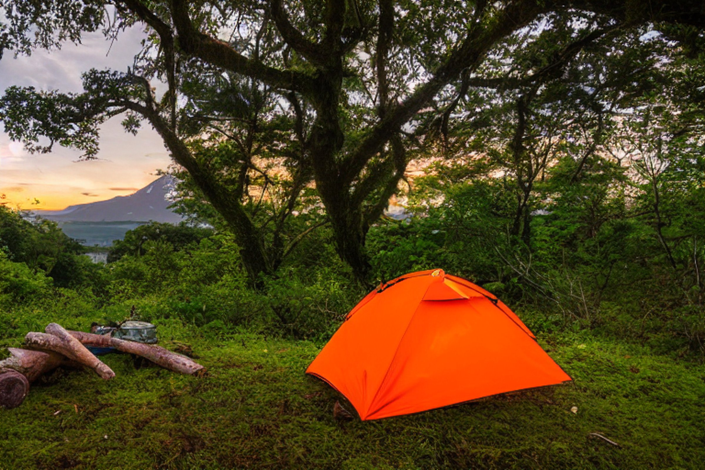 An orange tent rests on a quiet dirt patch beside a paved campsite. Mossy trees, berry bushes, and a mountain create a peaceful backdrop beneath cloudy sunset skies. Nearby, a small campfire glows inside a ring of stones.