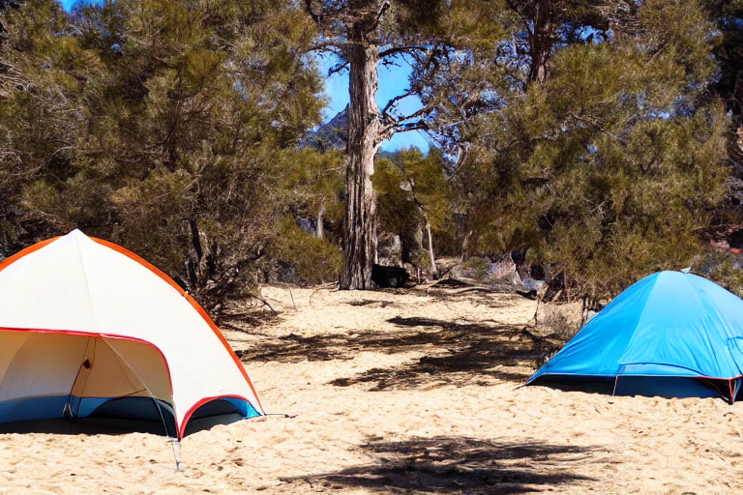 Tent at campsite on the top of a mountain with a starry sky