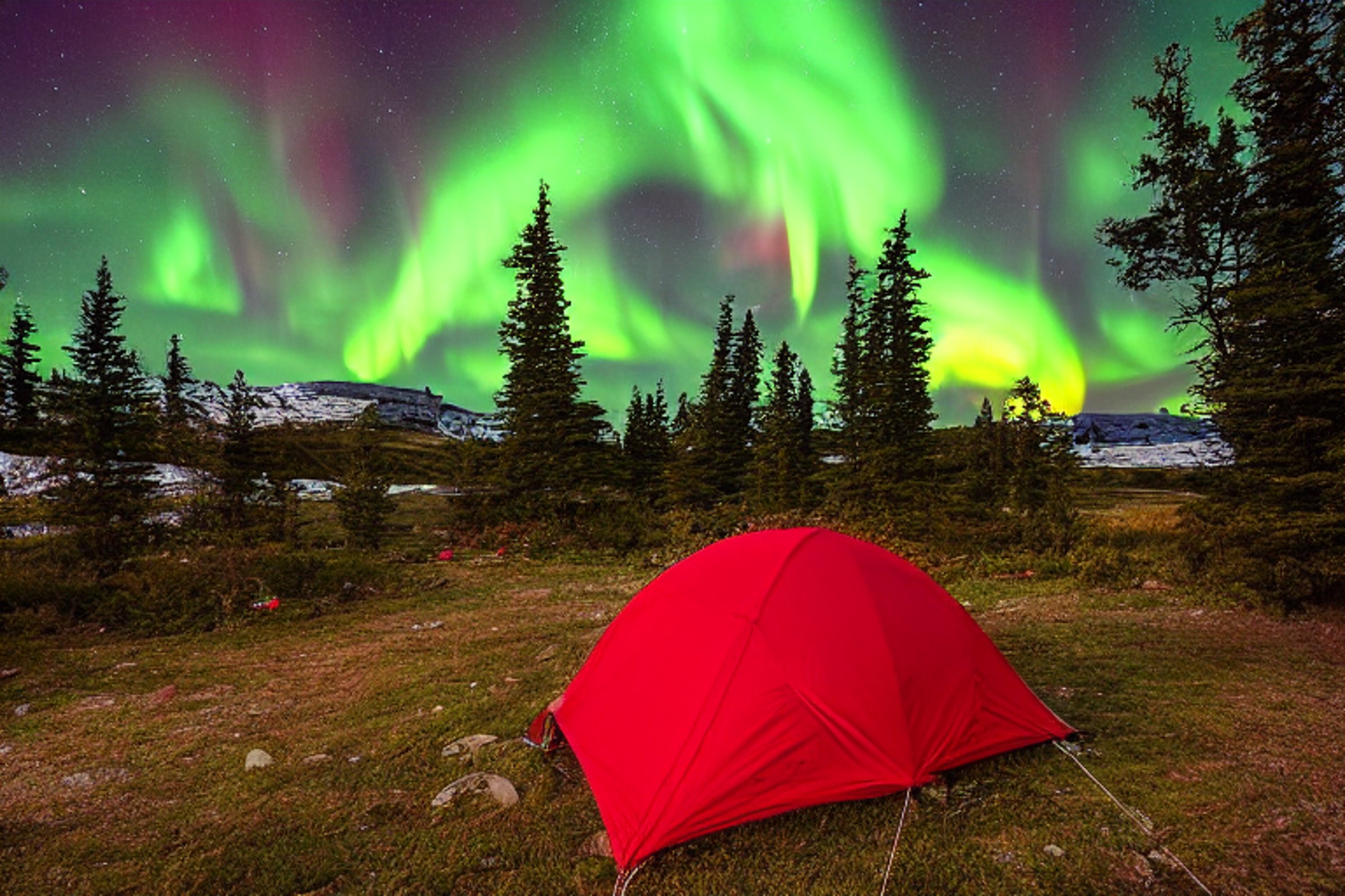 A red and white tent rests on a quiet dirt campsite beneath glowing green northern lights. Ferns, a large rock, and a hammock tied between trees add charm, while rain falls under the distant moon.