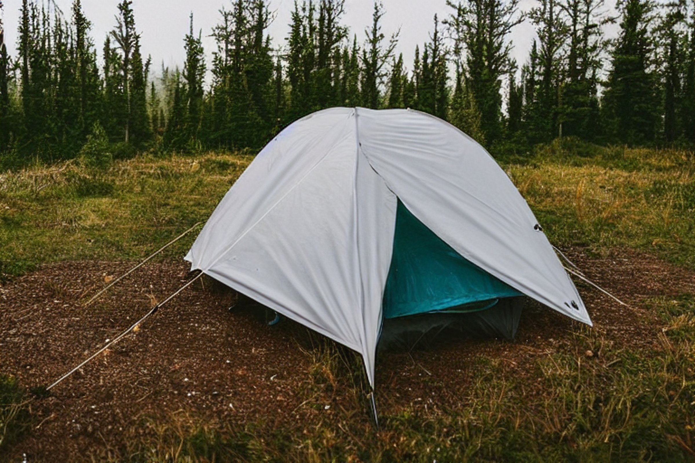 A white tent rests beside a glowing campfire in a quiet Upstate New York clearing. The northern lights shimmer through the foggy night sky above tall grass, stone patches, and scattered camping gear.