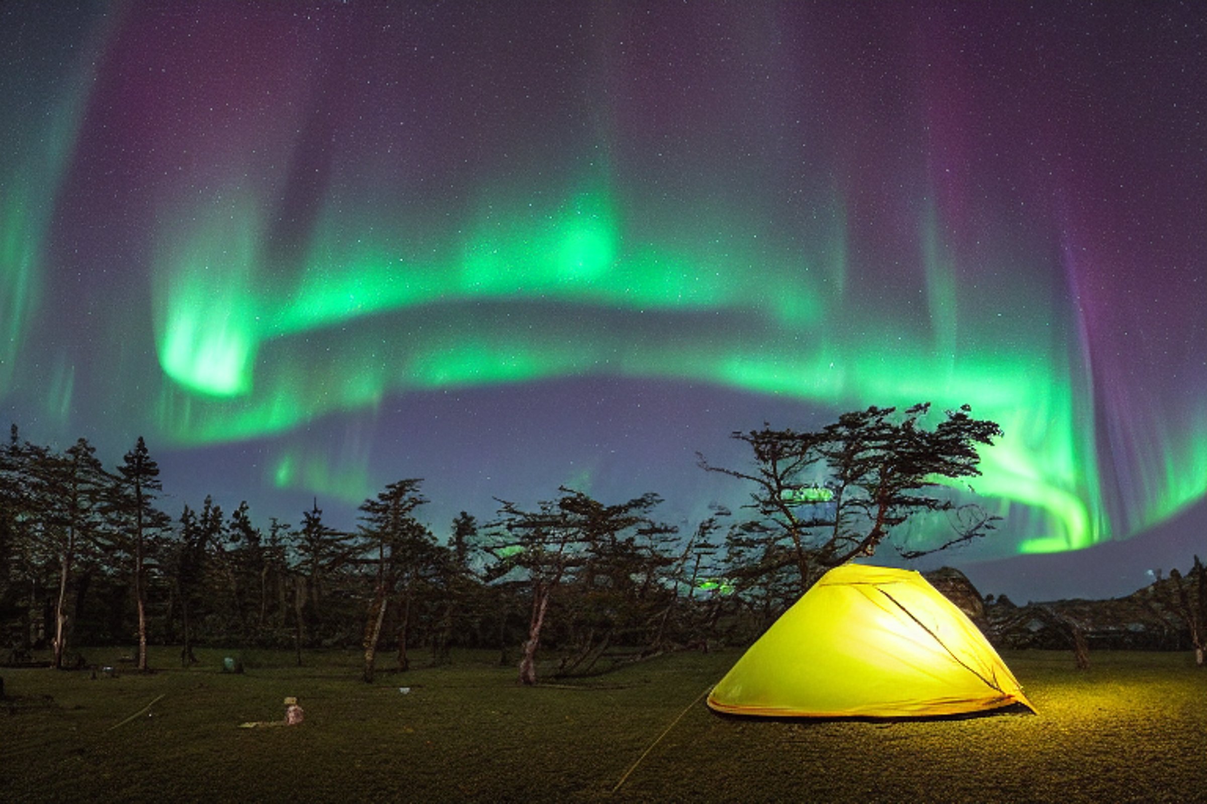 A quiet tent rests on a snowy dirt clearing beneath glowing northern lights. Tall trees and wild grass surround the camp, while a small flashlight shines in the distance.