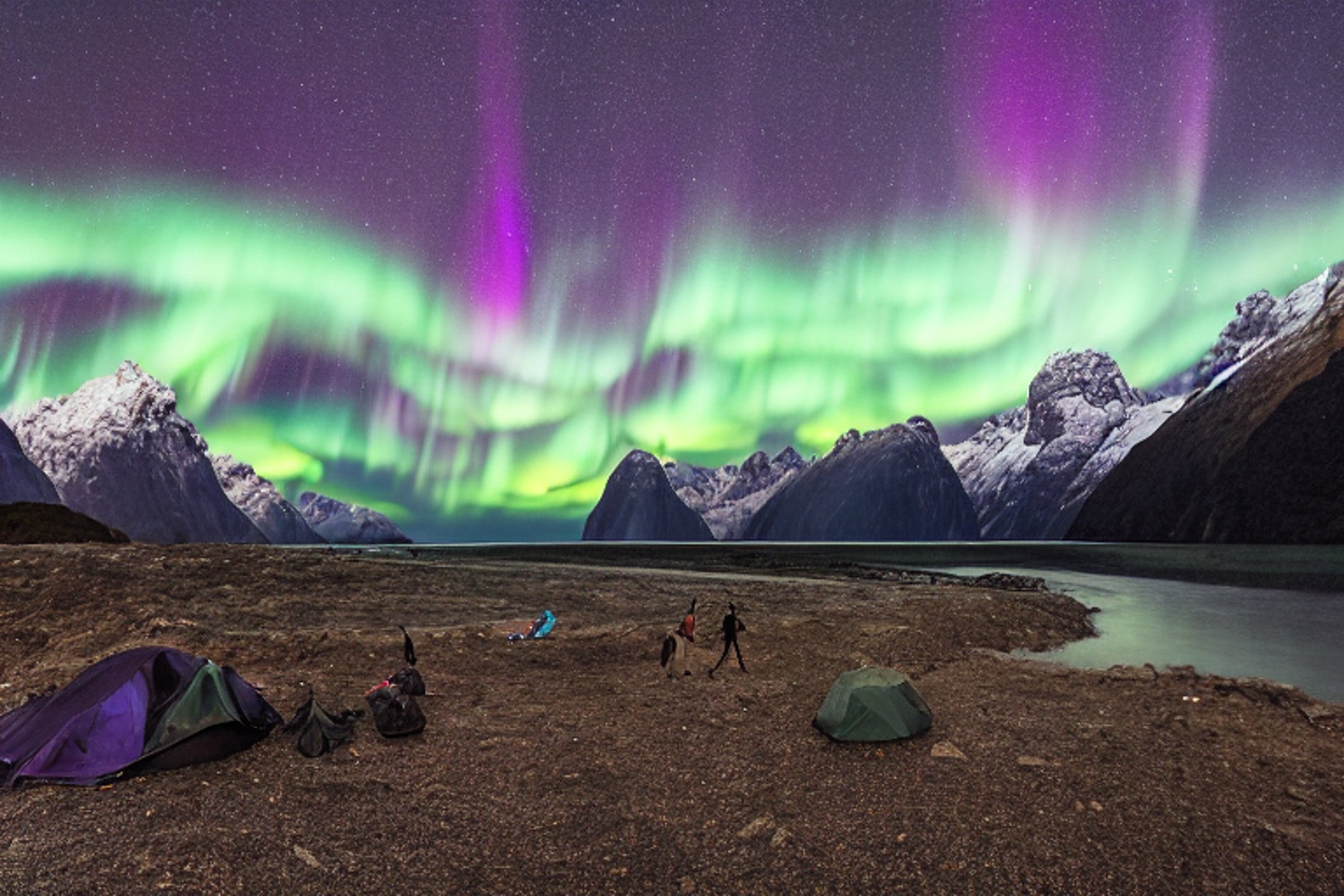 A black tent rests on a quiet dirt campsite beneath glowing green auroras and cloudy skies. Stones, a backpack, and a small twig lie nearby, while the dark mountains of Milford Sound surround the scene.