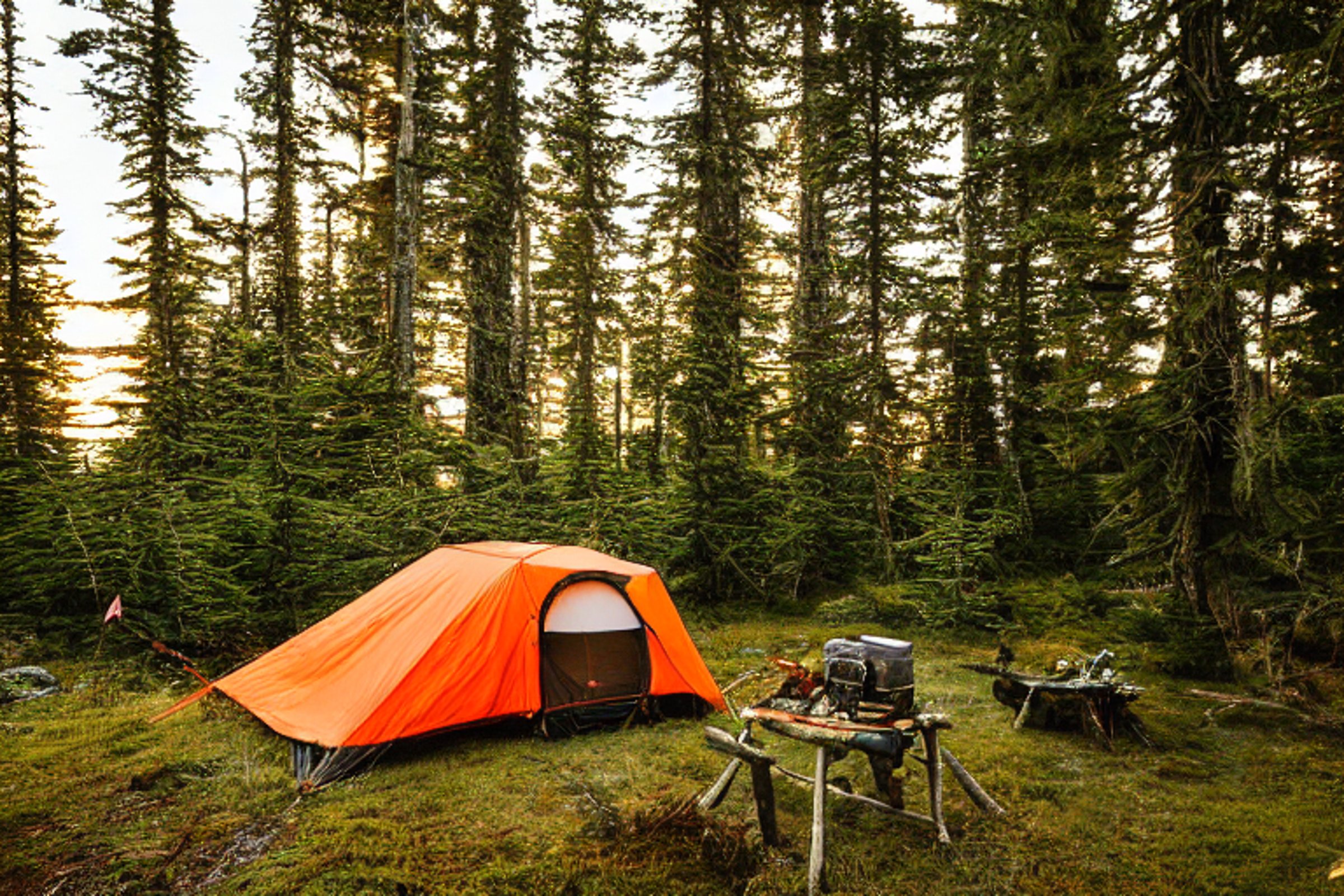 An orange Subaru with a rooftop tent rests in a quiet forest clearing beneath a sky full of stars. A warm campfire glows beside mossy trees, boulders, camping gear, and a nearby backpack.