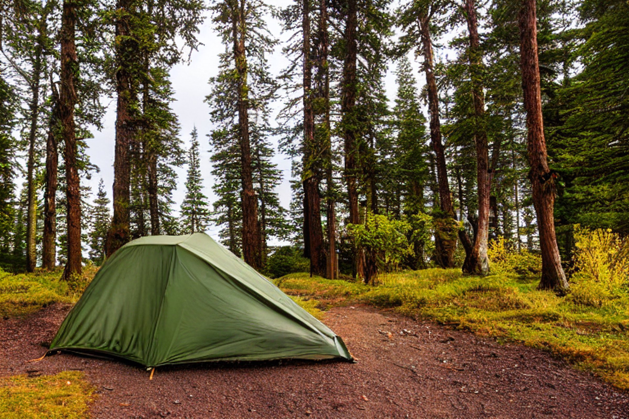 Two tan tents sit on a paved campsite beneath mossy trees. Rainy golden light shines over a nearby stream, hiking path, parked car, and mountains in the distance.