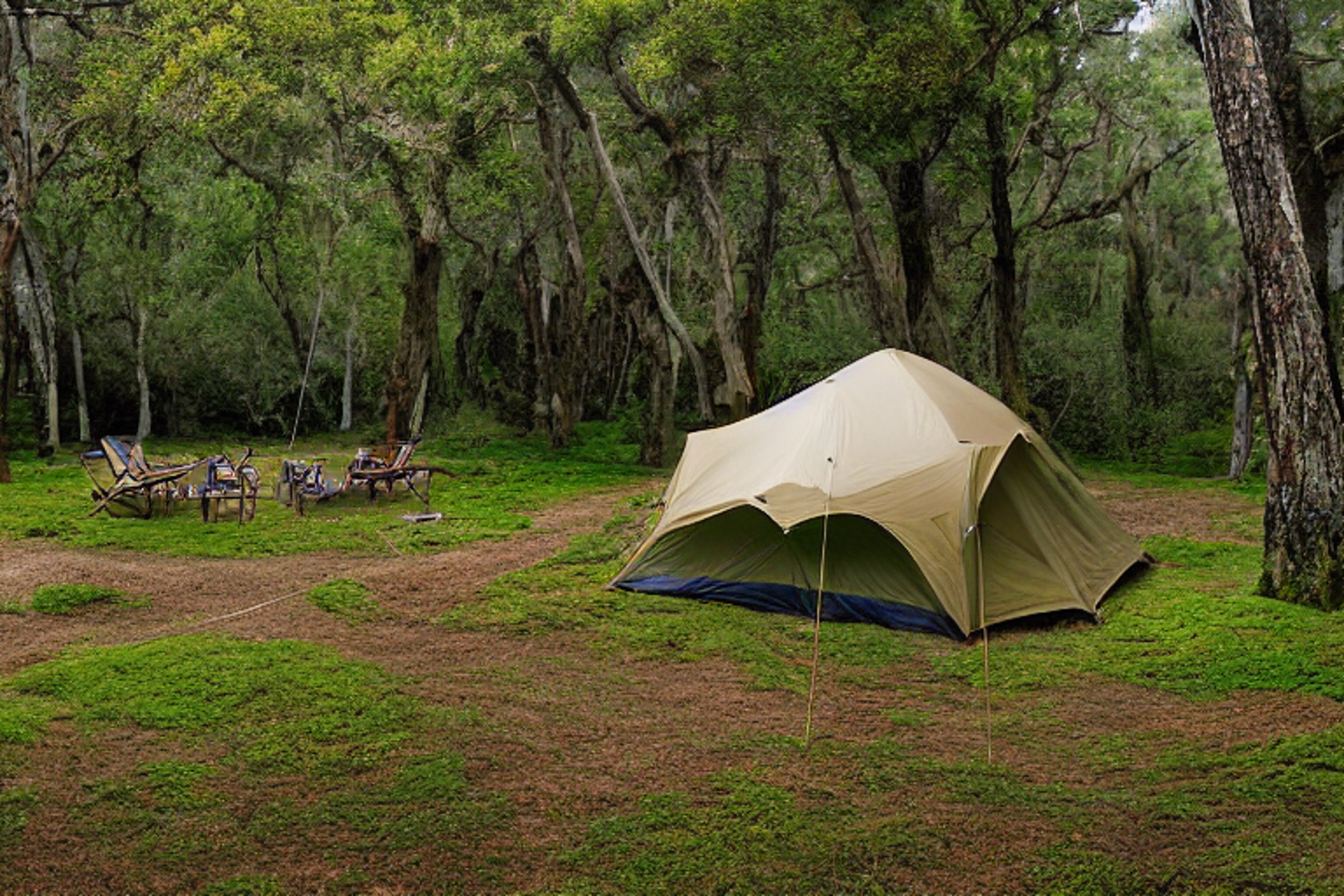 A green and tan tent rests on a dirt clearing near San Diego Beach. A warm campfire glows beside camping chairs, surrounded by mossy trees, thick bushes, and large stone slabs. Cloudy skies soften the sunset and create a peaceful mood.