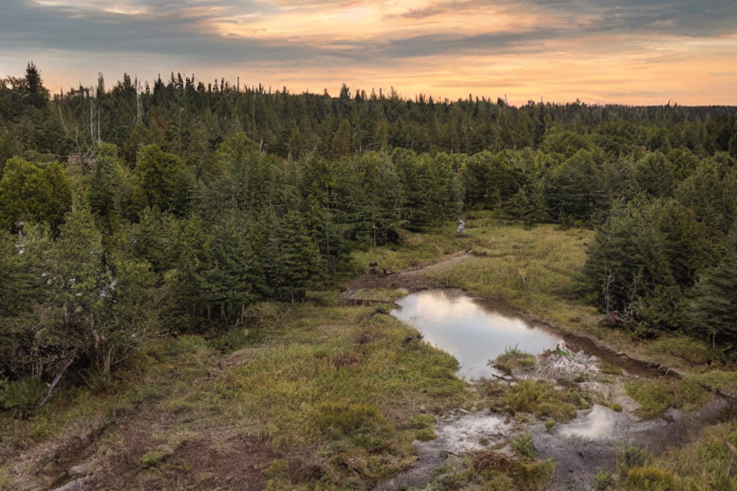 A cozy brown tent sits beside a warm campfire on the snowy coast of Maine. A clear stream winds through the campsite, with tall grass, small trees, and a dirt path nearby. The sunset casts a soft glow across the peaceful scene.