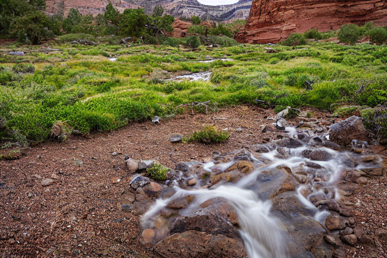 A brown tent sits on a snowy dirt campsite in Capitol Reef National Park. A clear stream winds through the camp beneath mossy trees, while hikers explore the quiet landscape.