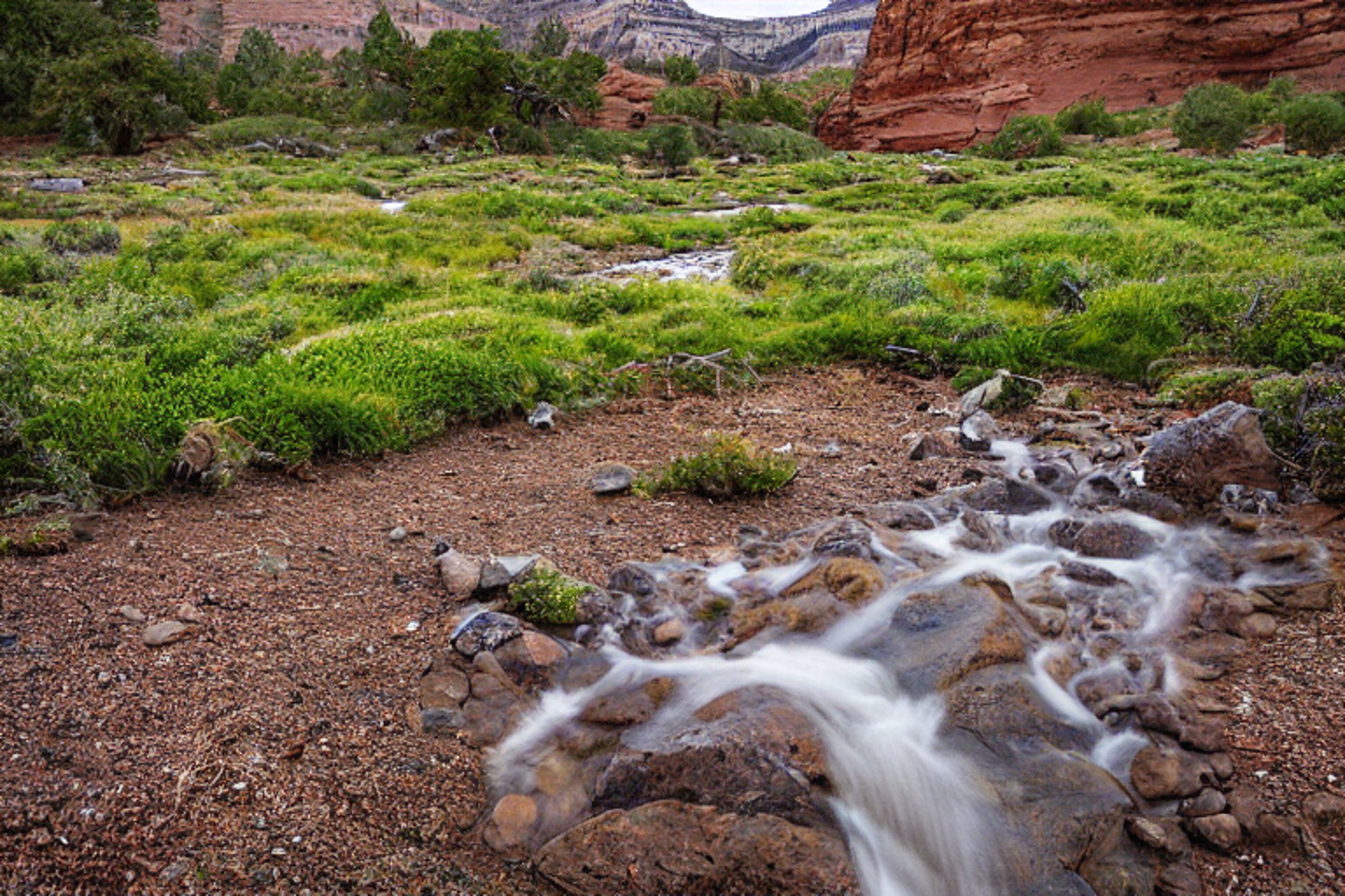 A brown tent sits on a snowy dirt campsite in Capitol Reef National Park. A clear stream winds through the camp beneath mossy trees, while hikers explore the quiet landscape.