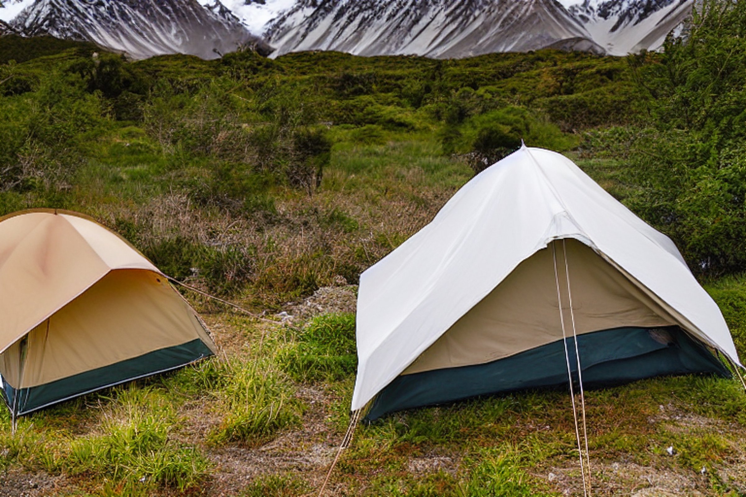 A green and tan tent rests on a dirt patch in Mount Cook National Park. Tall grass and large bushes surround the paved campsite, while a box of camping gear sits nearby. Soft sunrise light shines through the cloudy sky.