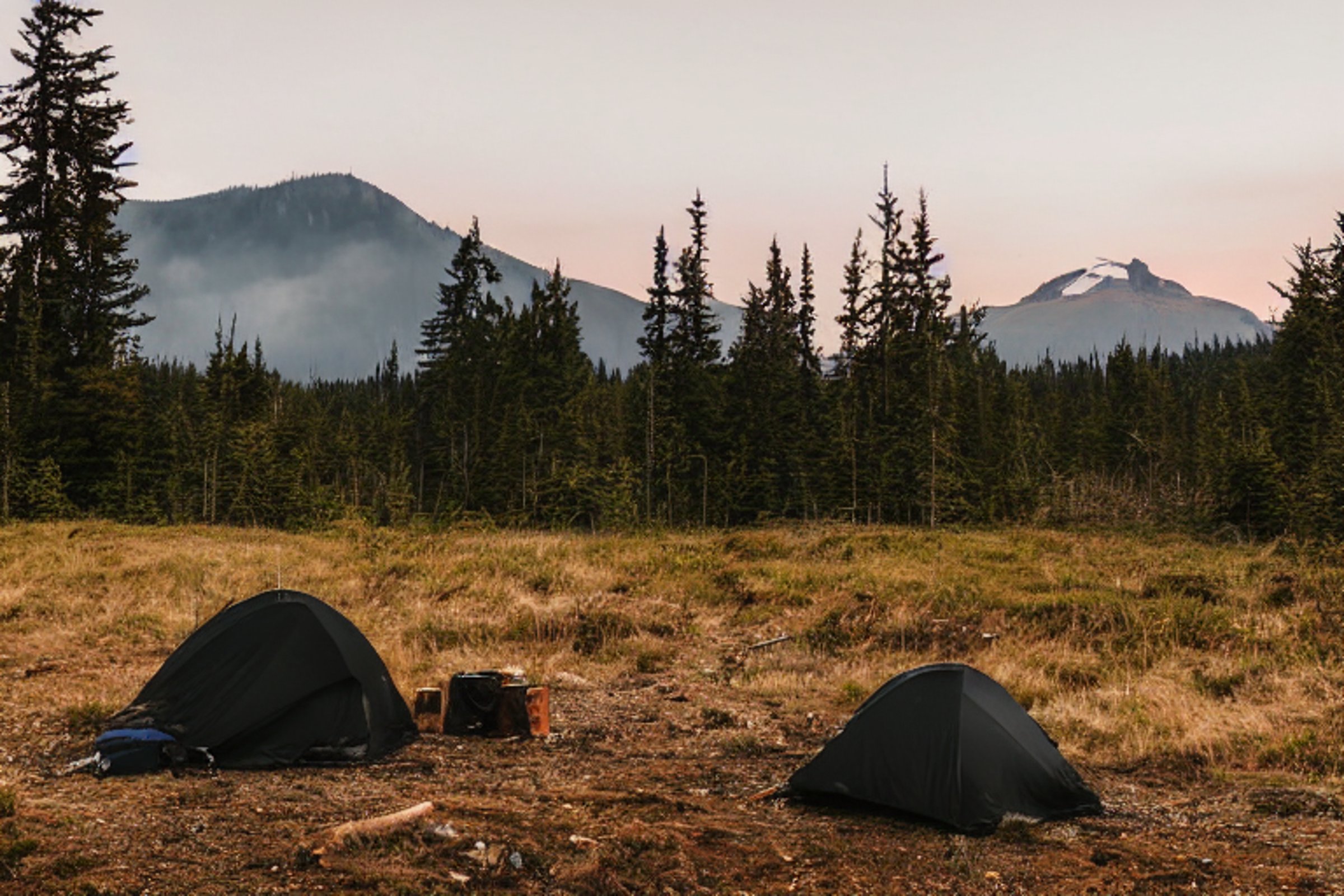 A black tent rests on a quiet campsite as soft sunrise light shines through the fog. Mountains rise in the distance, while a campfire, logs, and a backpack sit among the overgrown grass. A deer grazes far away, adding to the peaceful morning scene.
