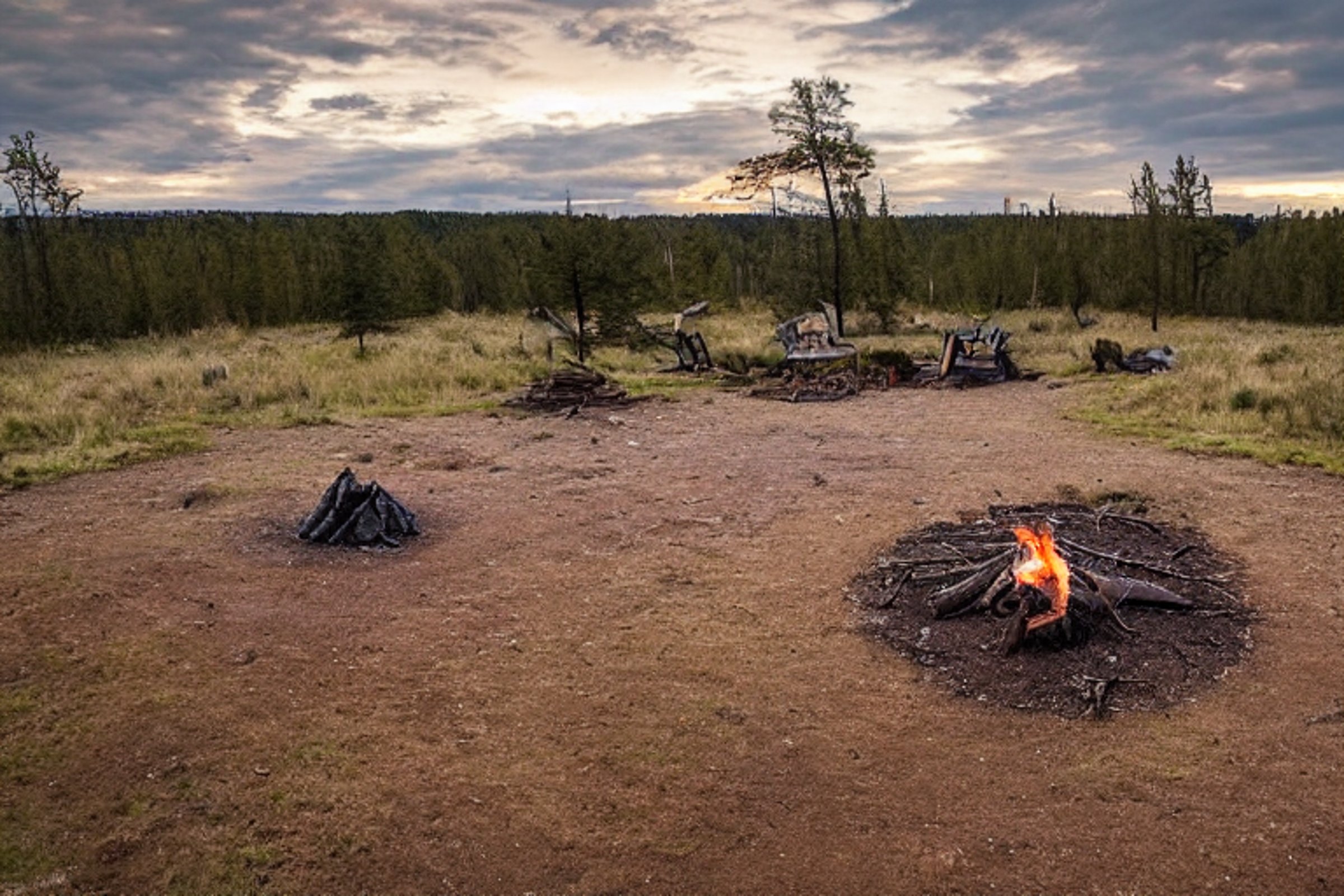 A black tent rests in a quiet petrified forest beneath a cloudy sunset sky. A warm campfire glows among the logs, while a deer stands in the distance. Leaves, stones, and dusty ground give the campsite a wild, peaceful feel.