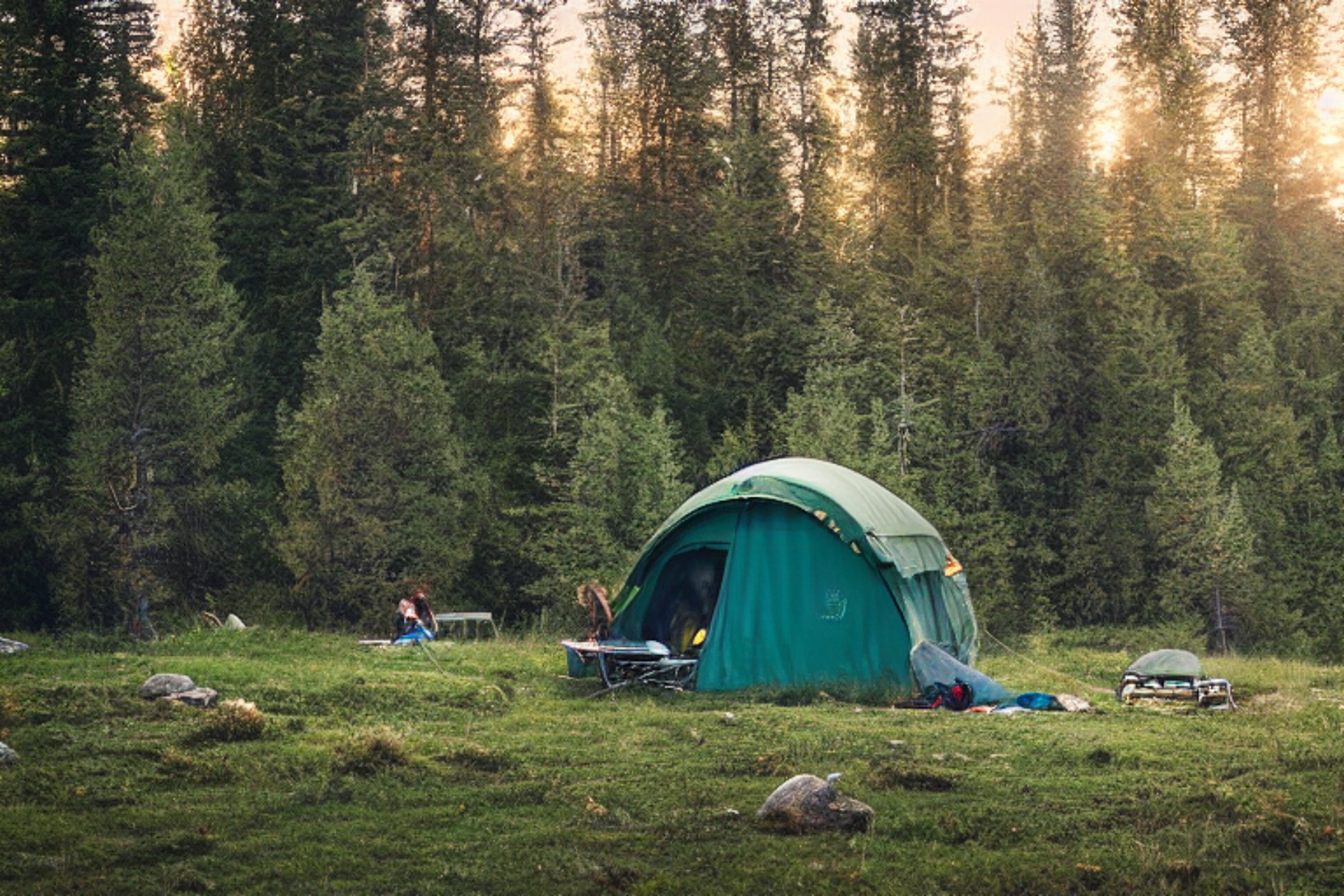 A green tent rests in a grassy Montana campsite as soft sunrise light shines through mossy trees. Fog drifts over the dirt clearing, while a car, guitar, and surfers add a fun, unusual touch.