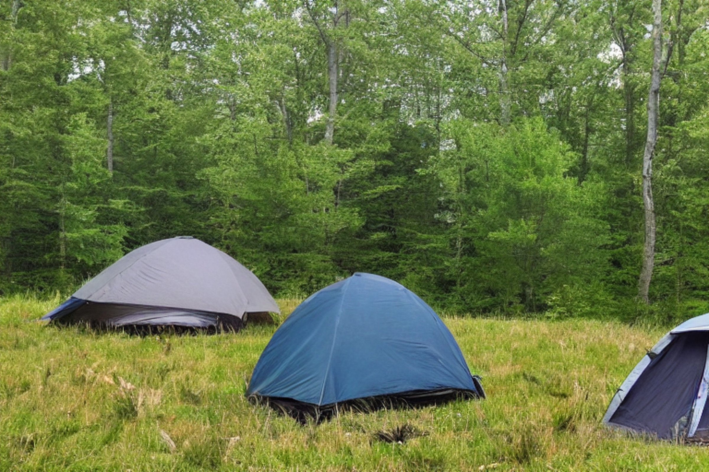 A black tent rests on a dirt patch amid tall, overgrown grass in the rolling hills of Upstate New York. Camping gear, a small stove, and scattered twigs sit nearby as rain falls beneath the starry night sky.