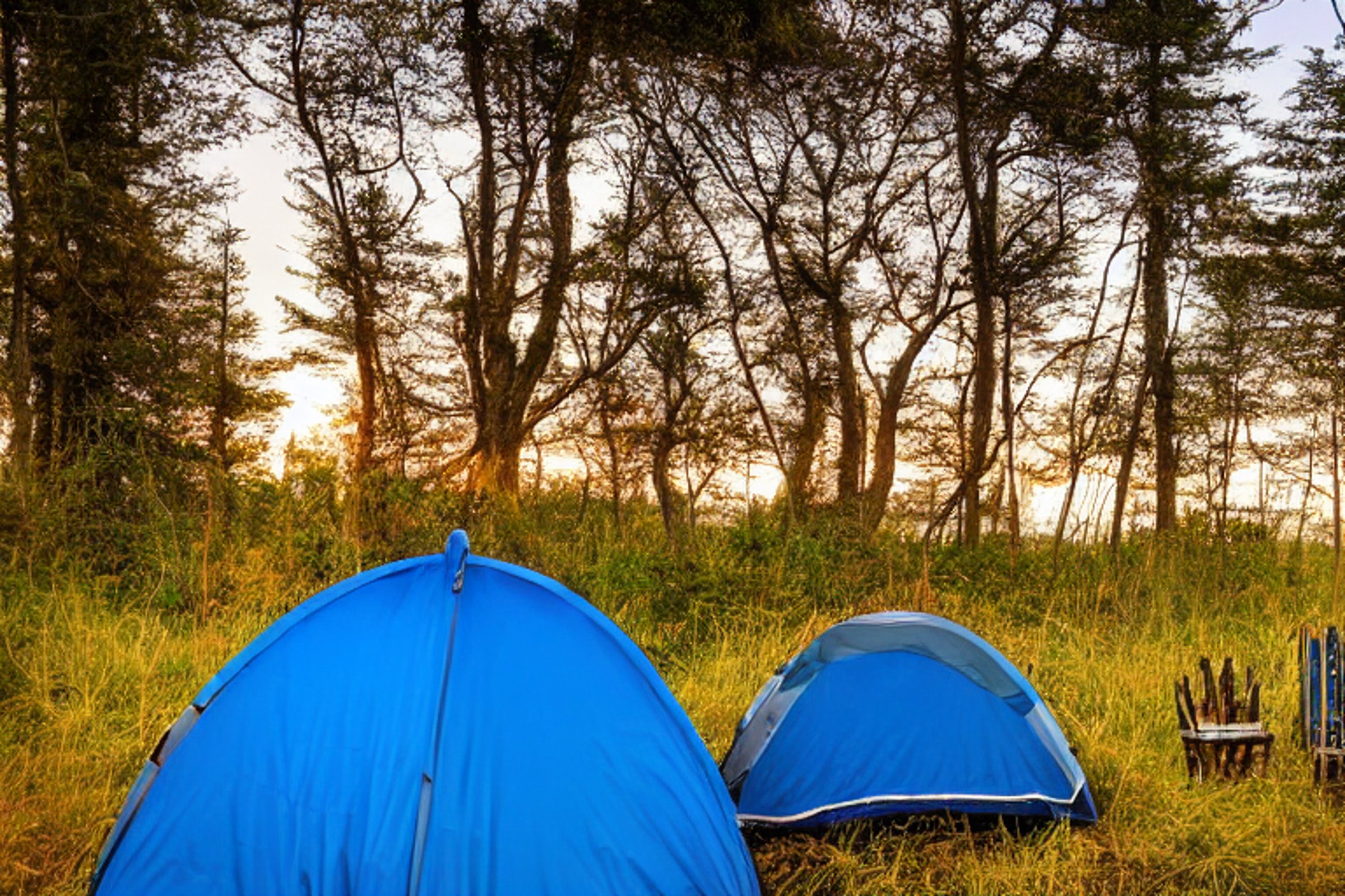 A bright blue tent rests beside a warm campfire on a sandy beach. Tall grass, rough ground, and ocean waves surround the campsite as the sun sets. Logs sit around the fire, creating a cozy place to relax.